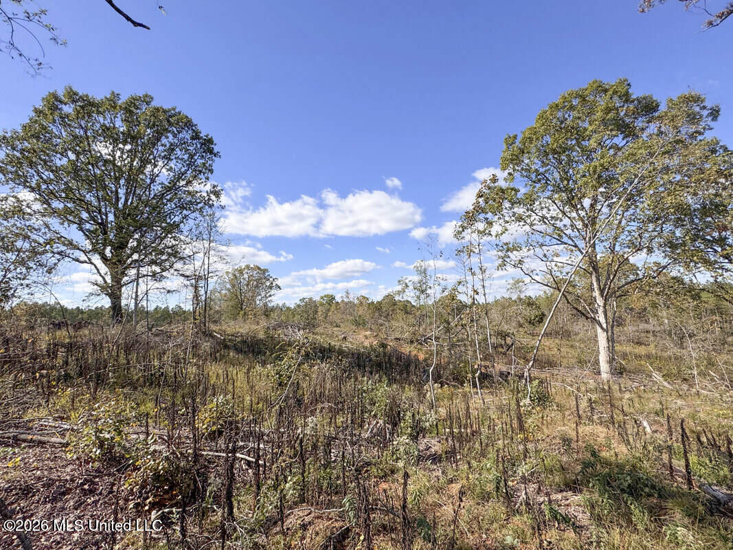 County Road 154 Property Photo 58