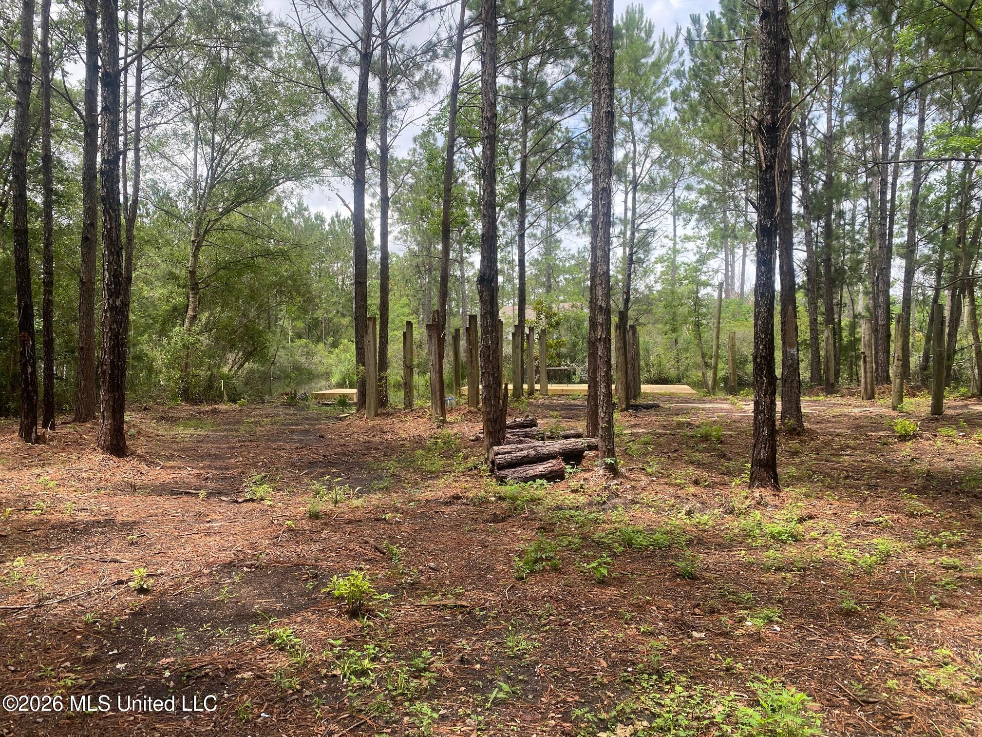 10063 River Drive Property Photo 1