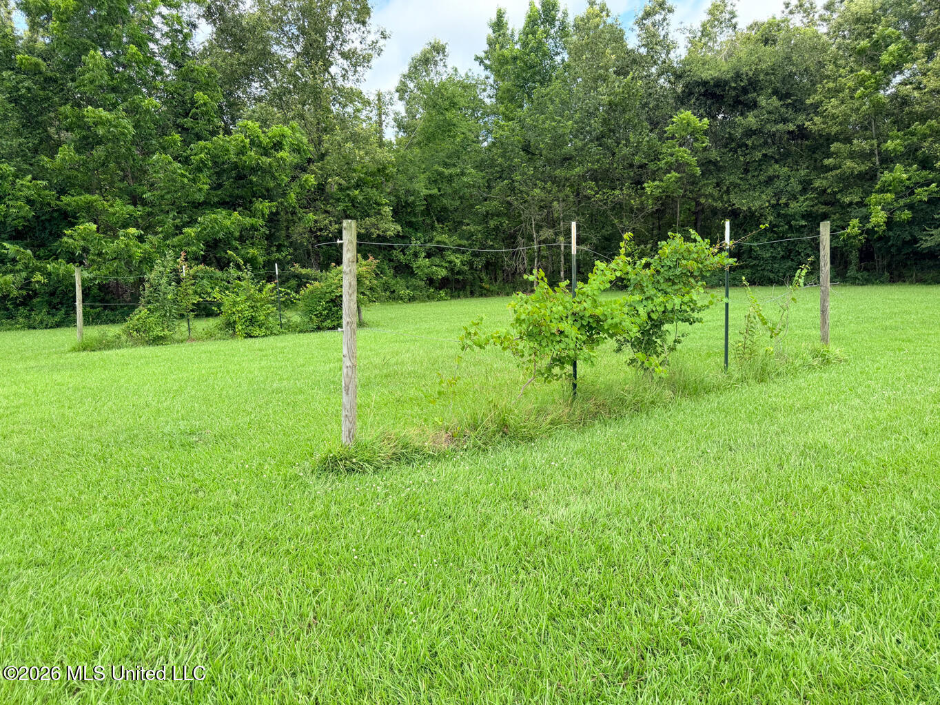 4409 La-577 Property Photo 10