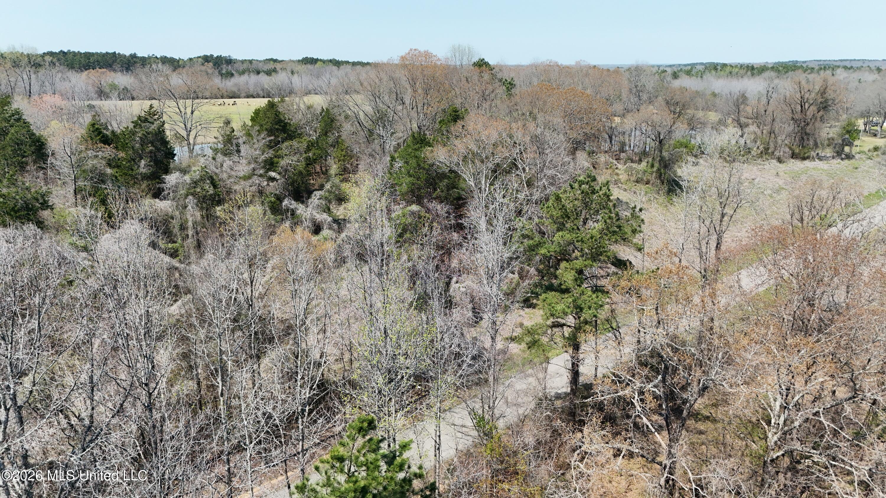 1200 Chulahoma Road Property Photo 16
