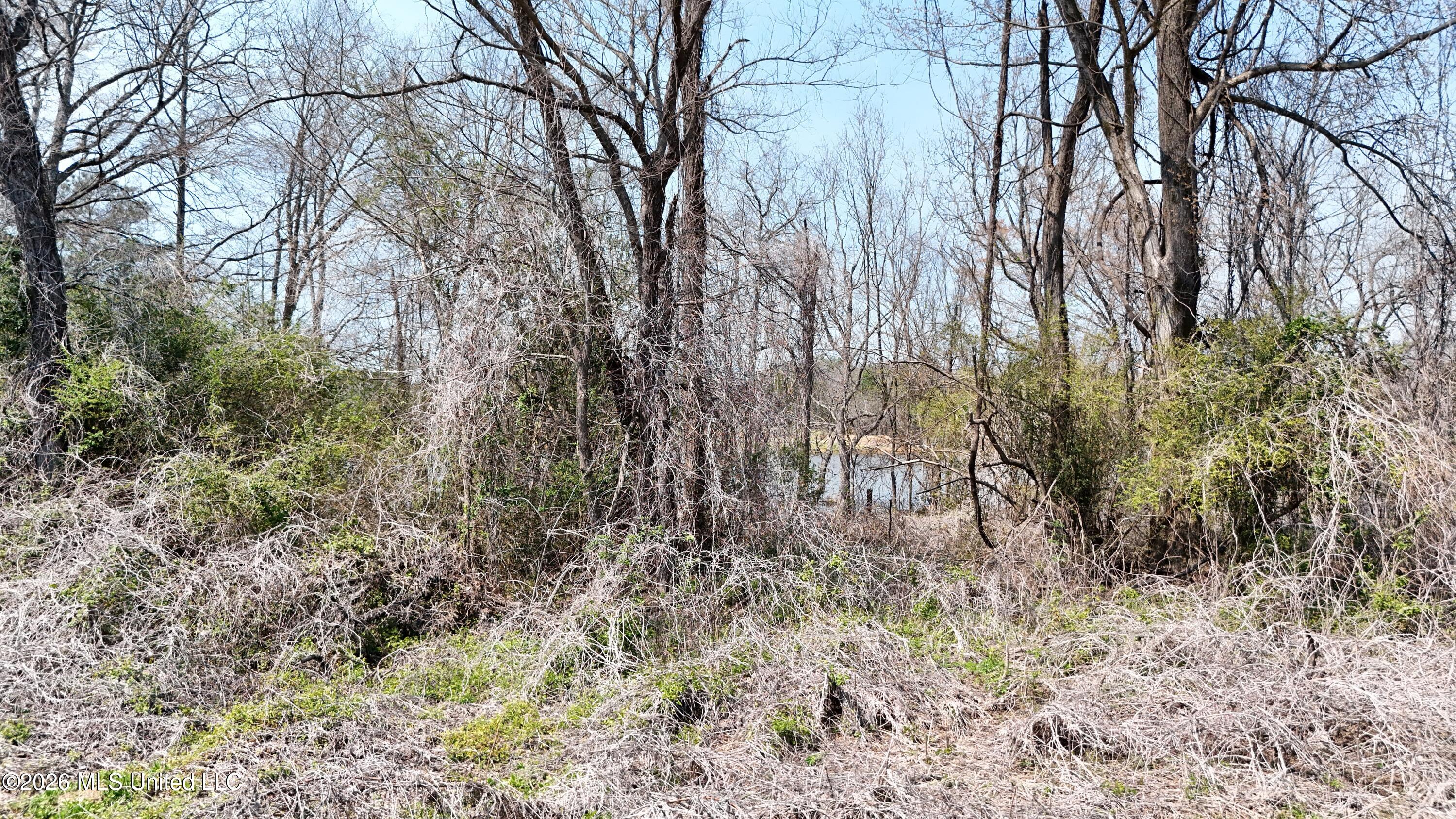 1200 Chulahoma Road Property Photo 42