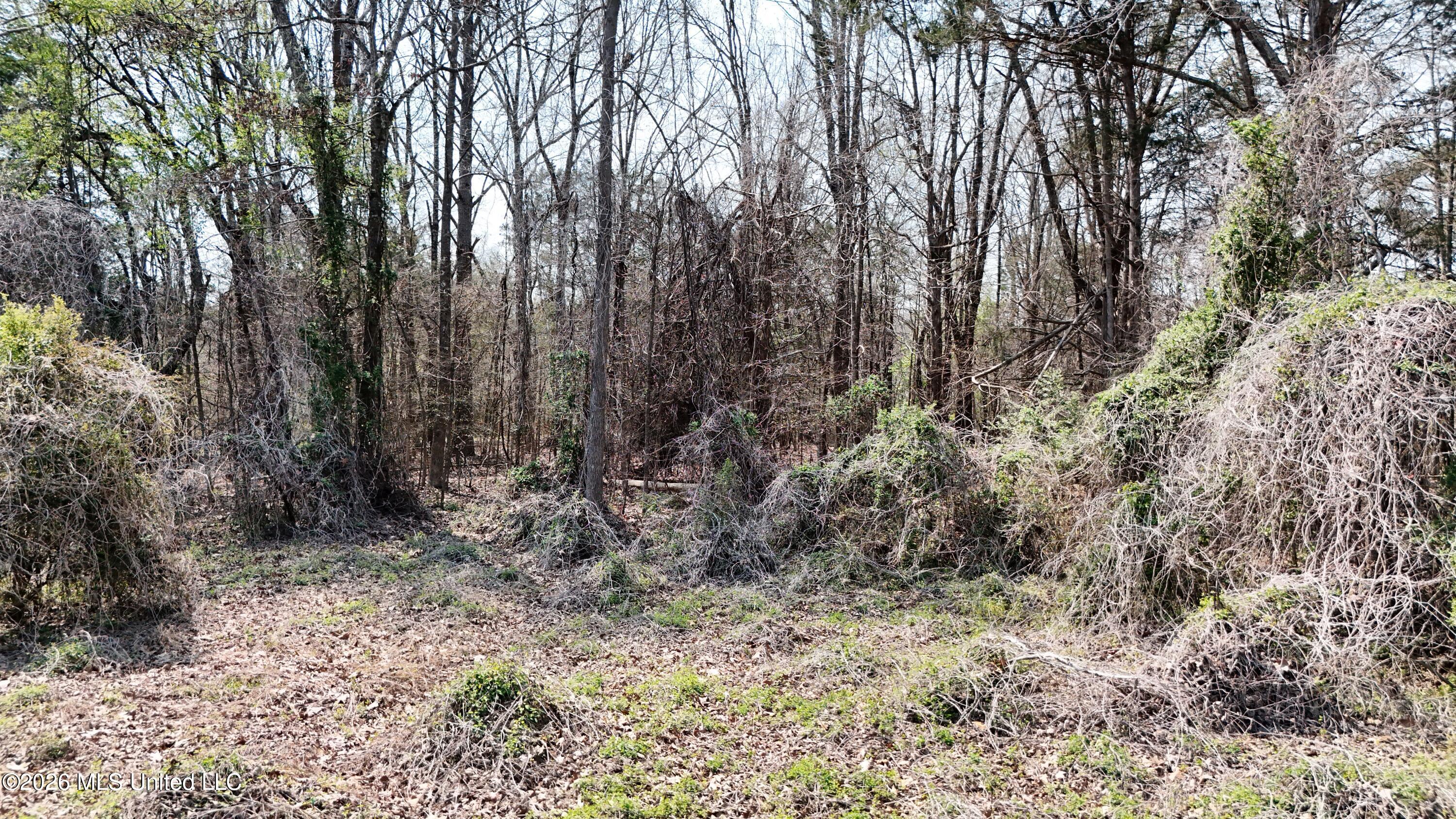 1200 Chulahoma Road Property Photo 43