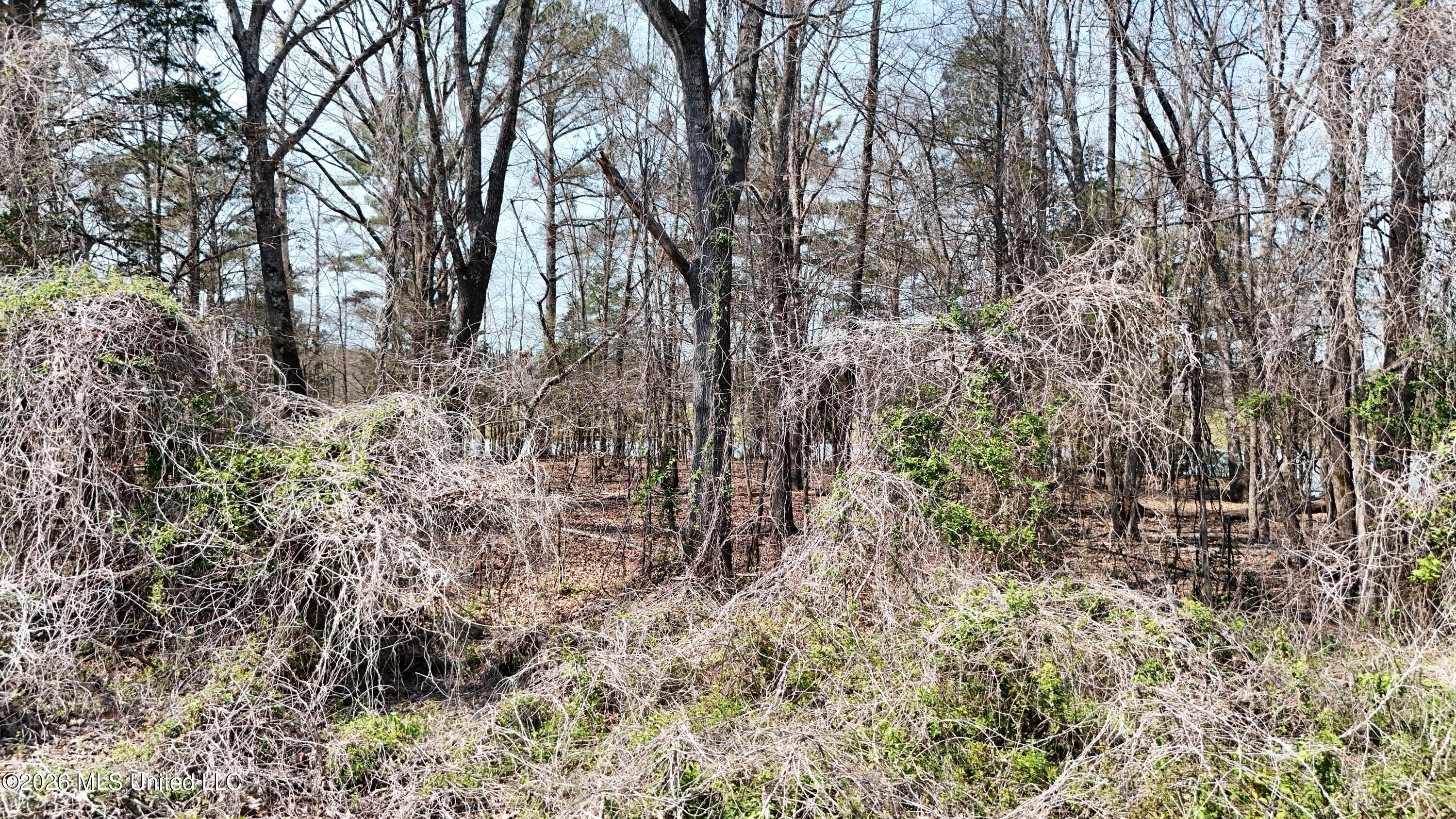 1200 Chulahoma Road Property Photo 44