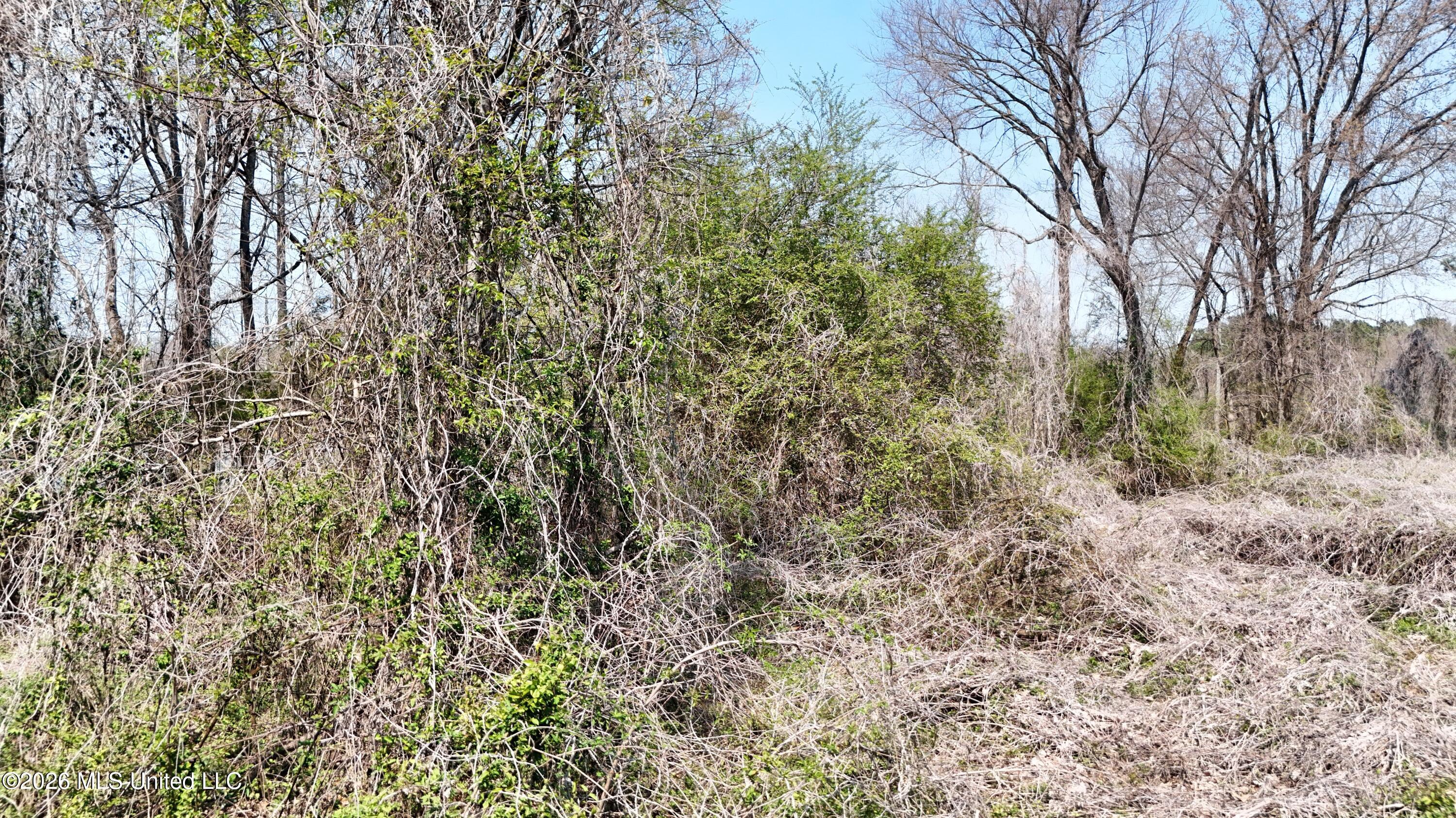 1200 Chulahoma Road Property Photo 45