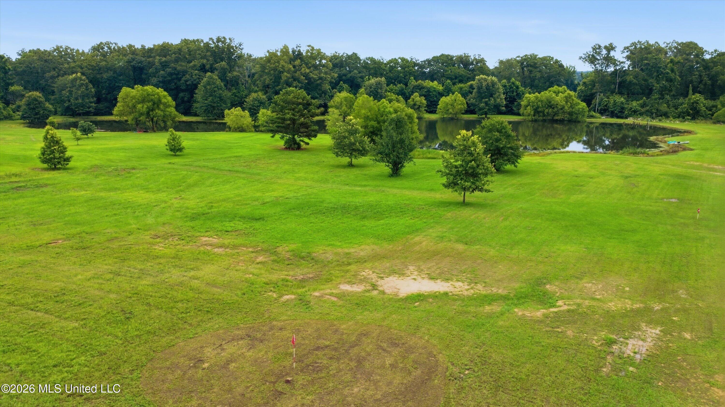 142 Iron Oak Ridge Property Photo 6