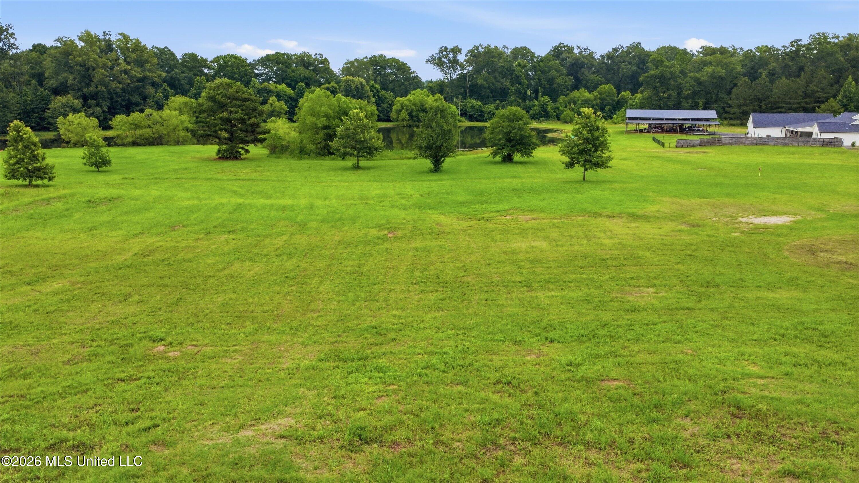 142 Iron Oak Ridge Property Photo 7