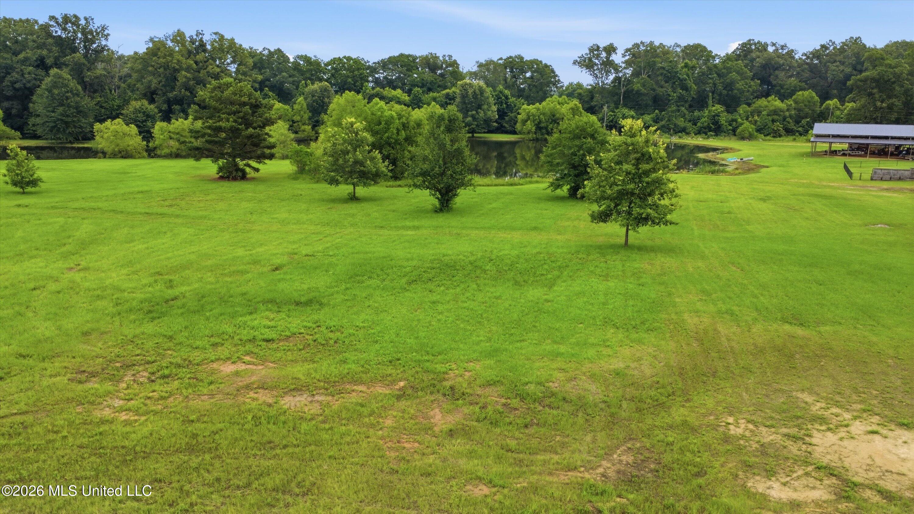 142 Iron Oak Ridge Property Photo 8