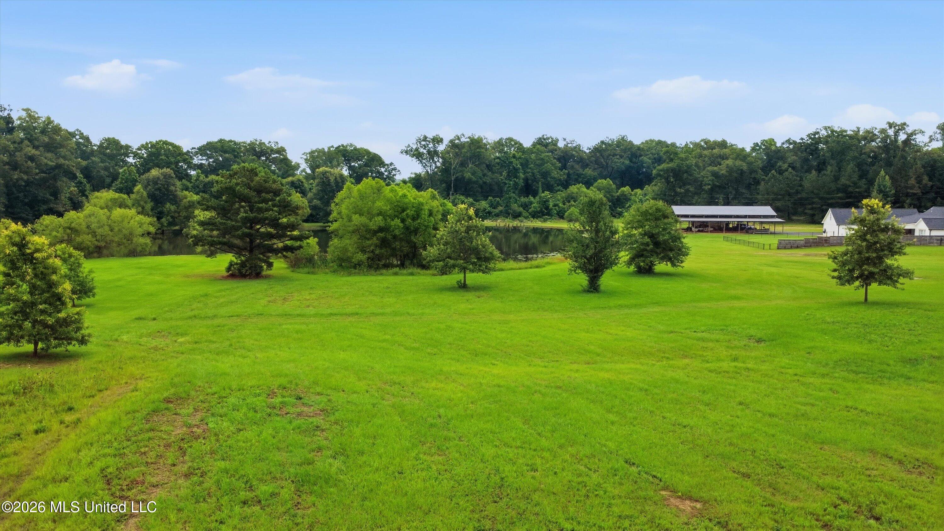 142 Iron Oak Ridge Property Photo 12