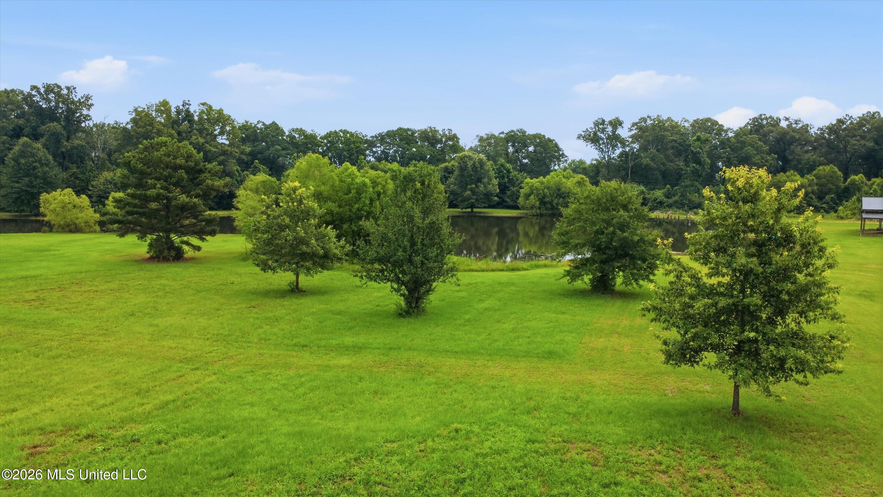 142 Iron Oak Ridge Property Photo 13