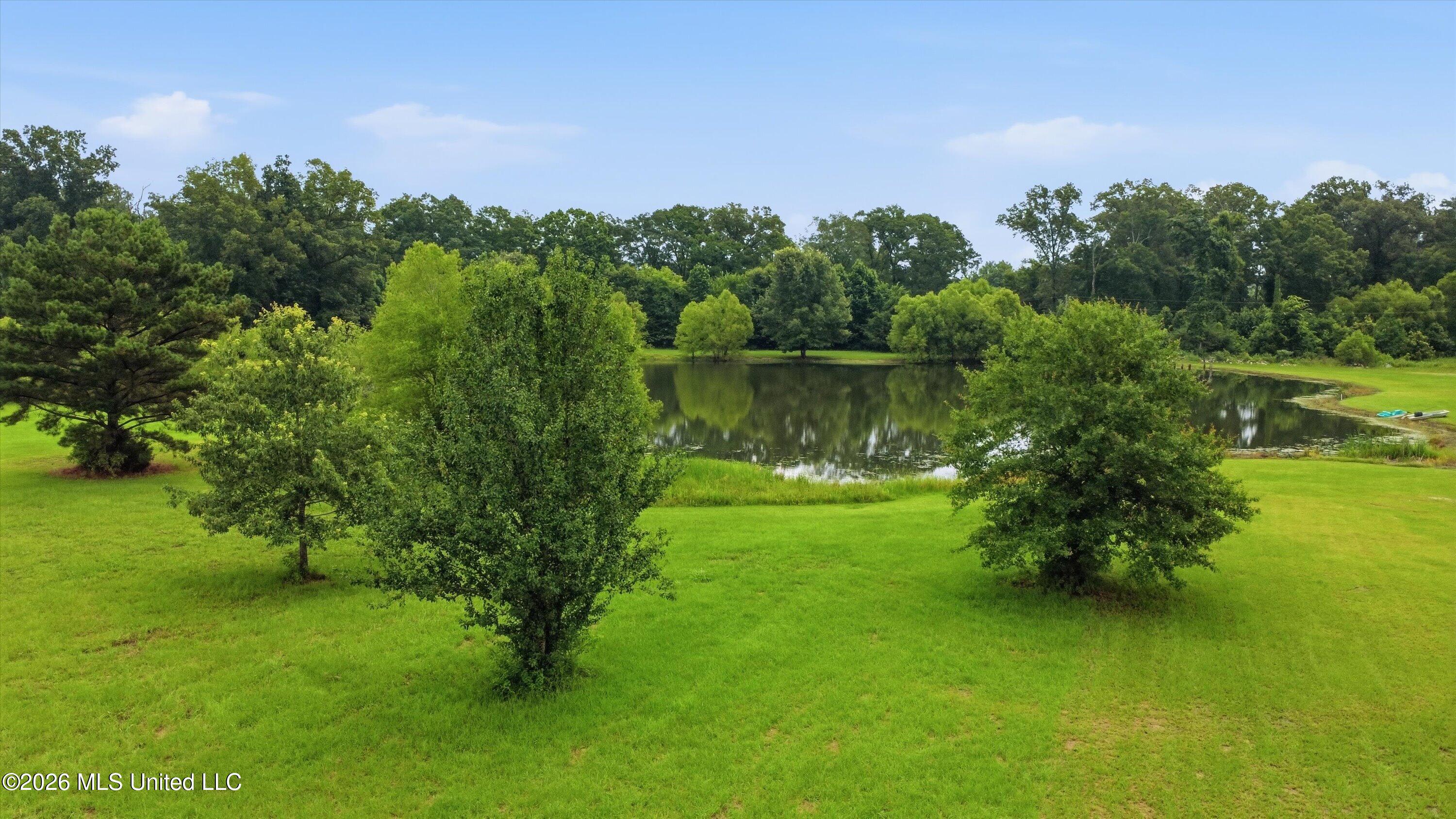 142 Iron Oak Ridge Property Photo 14