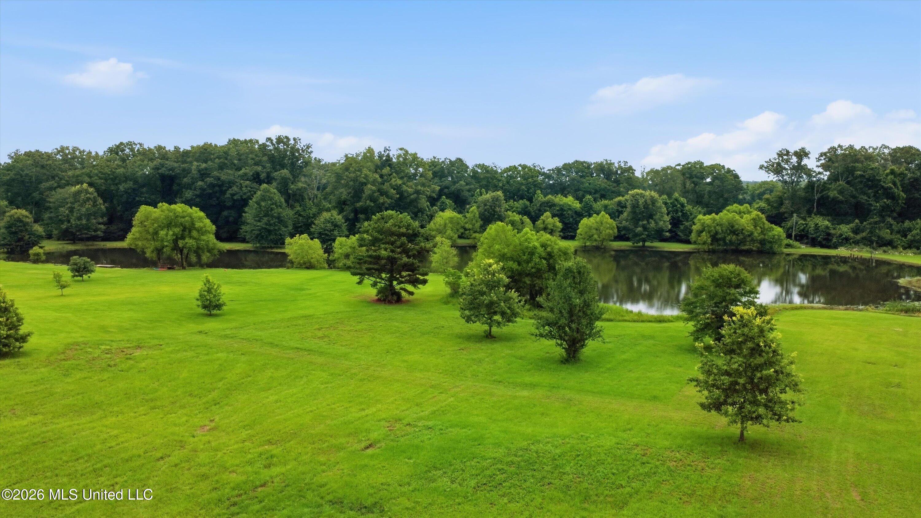 142 Iron Oak Ridge Property Photo 16