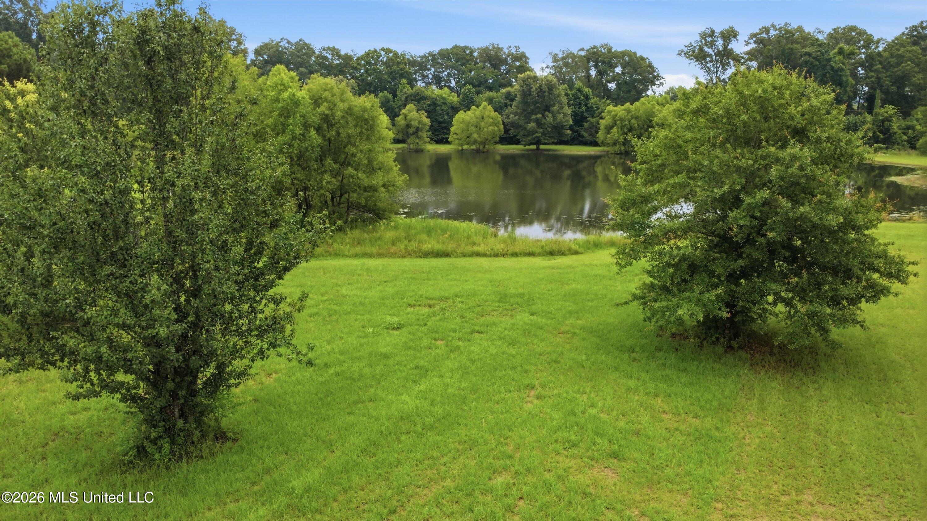142 Iron Oak Ridge Property Photo 19