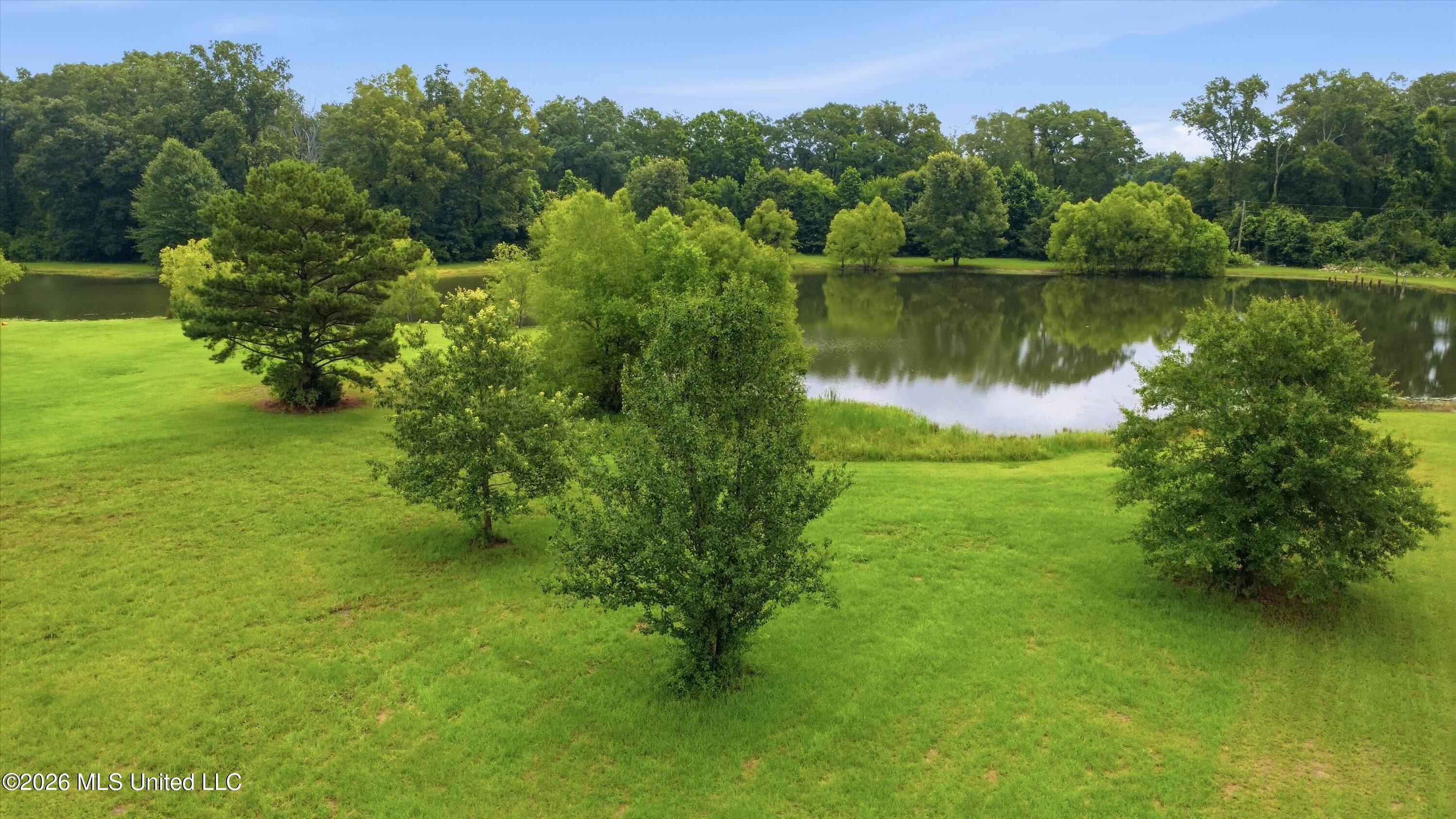 142 Iron Oak Ridge Property Photo 20
