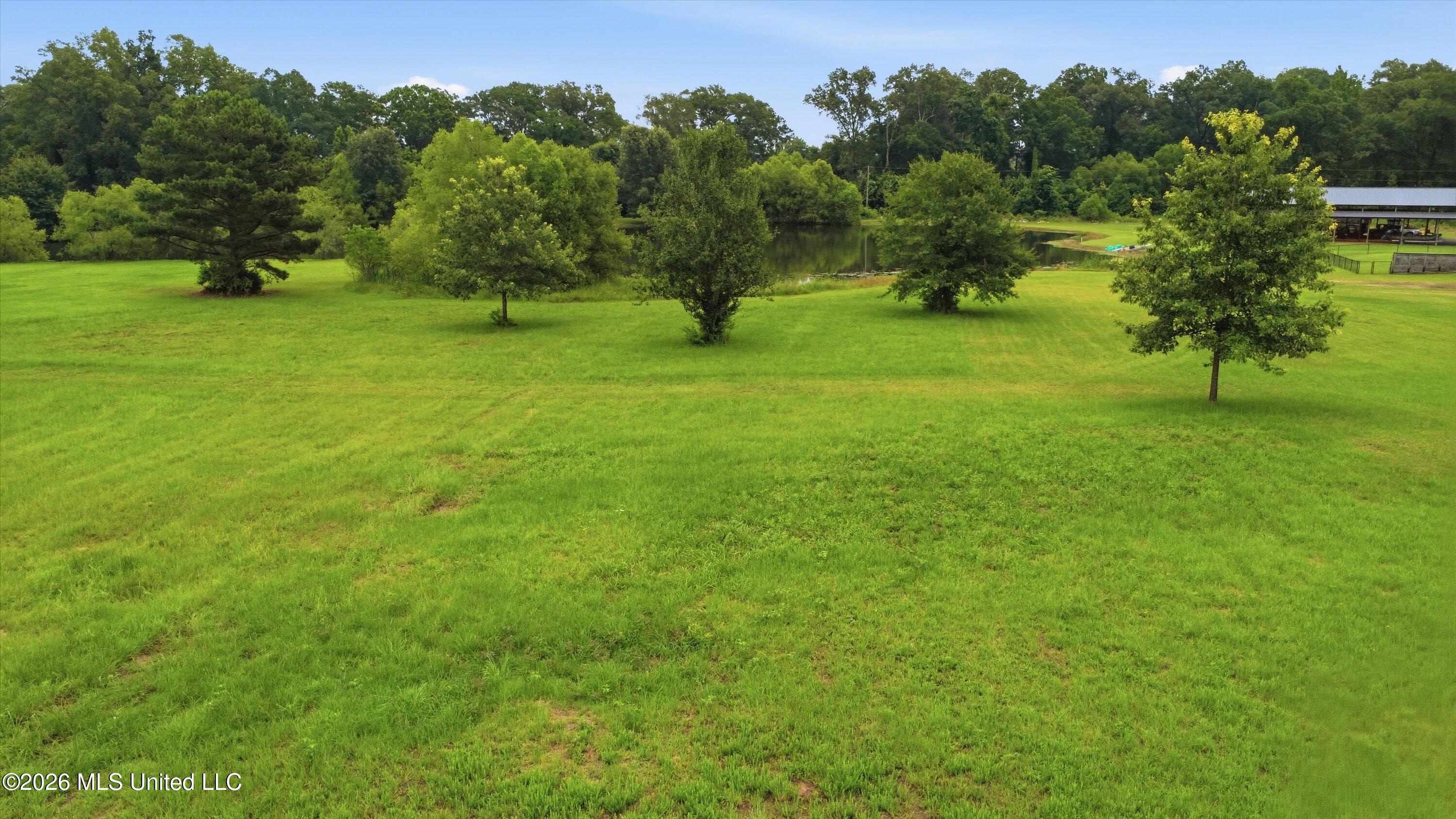 142 Iron Oak Ridge Property Photo 21