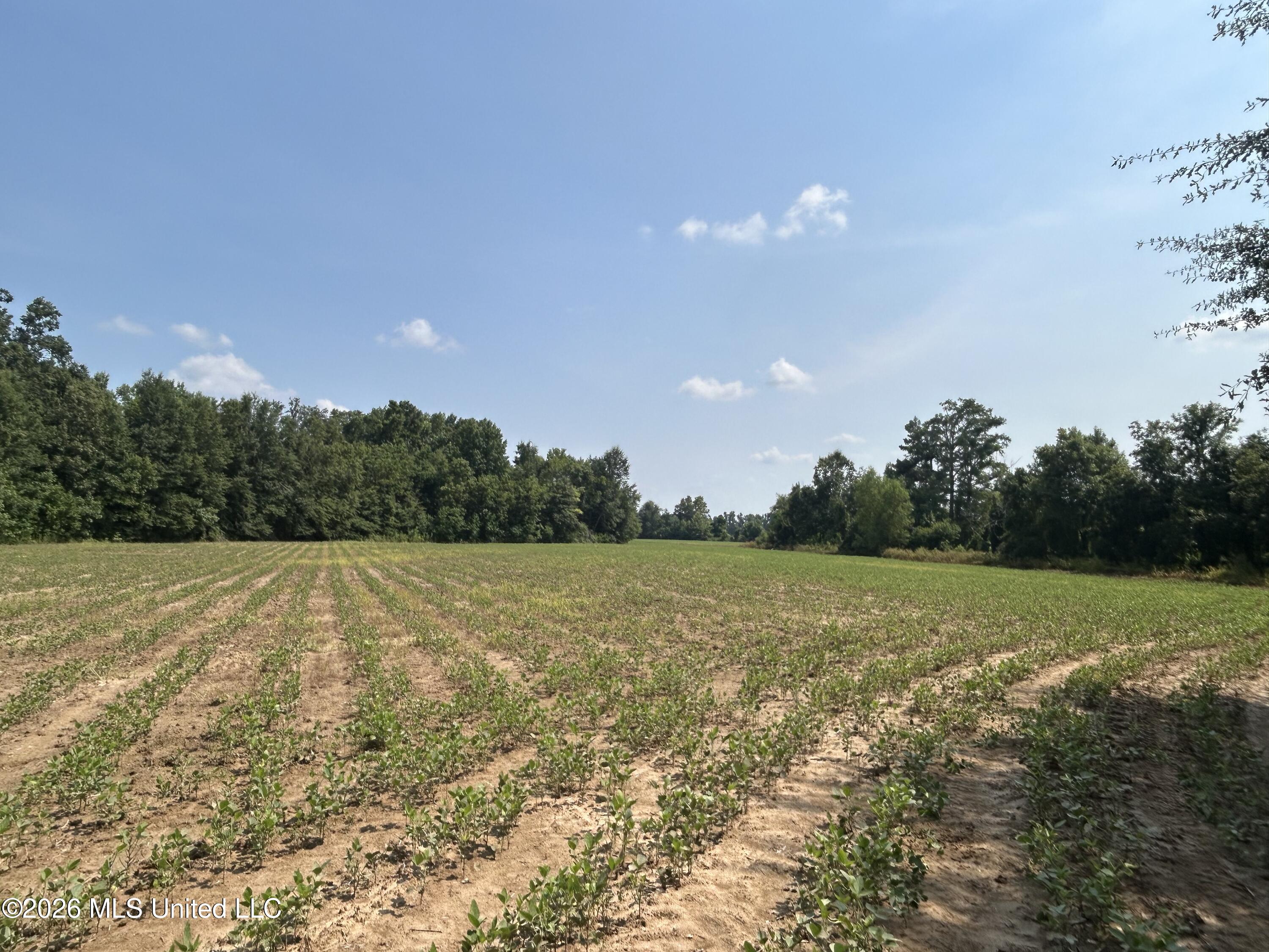 Leflore County Property Photo 2