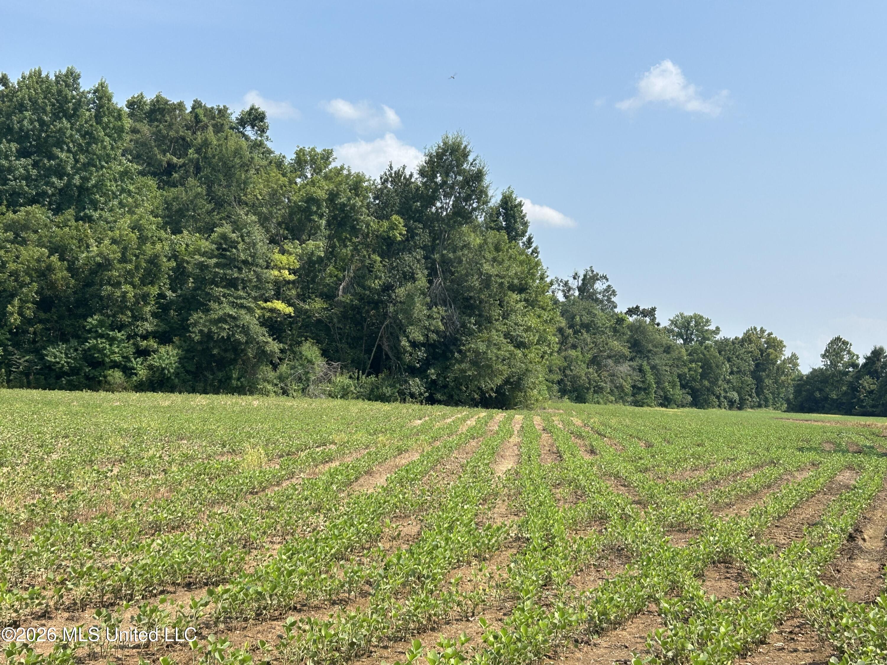 Leflore County Property Photo 3