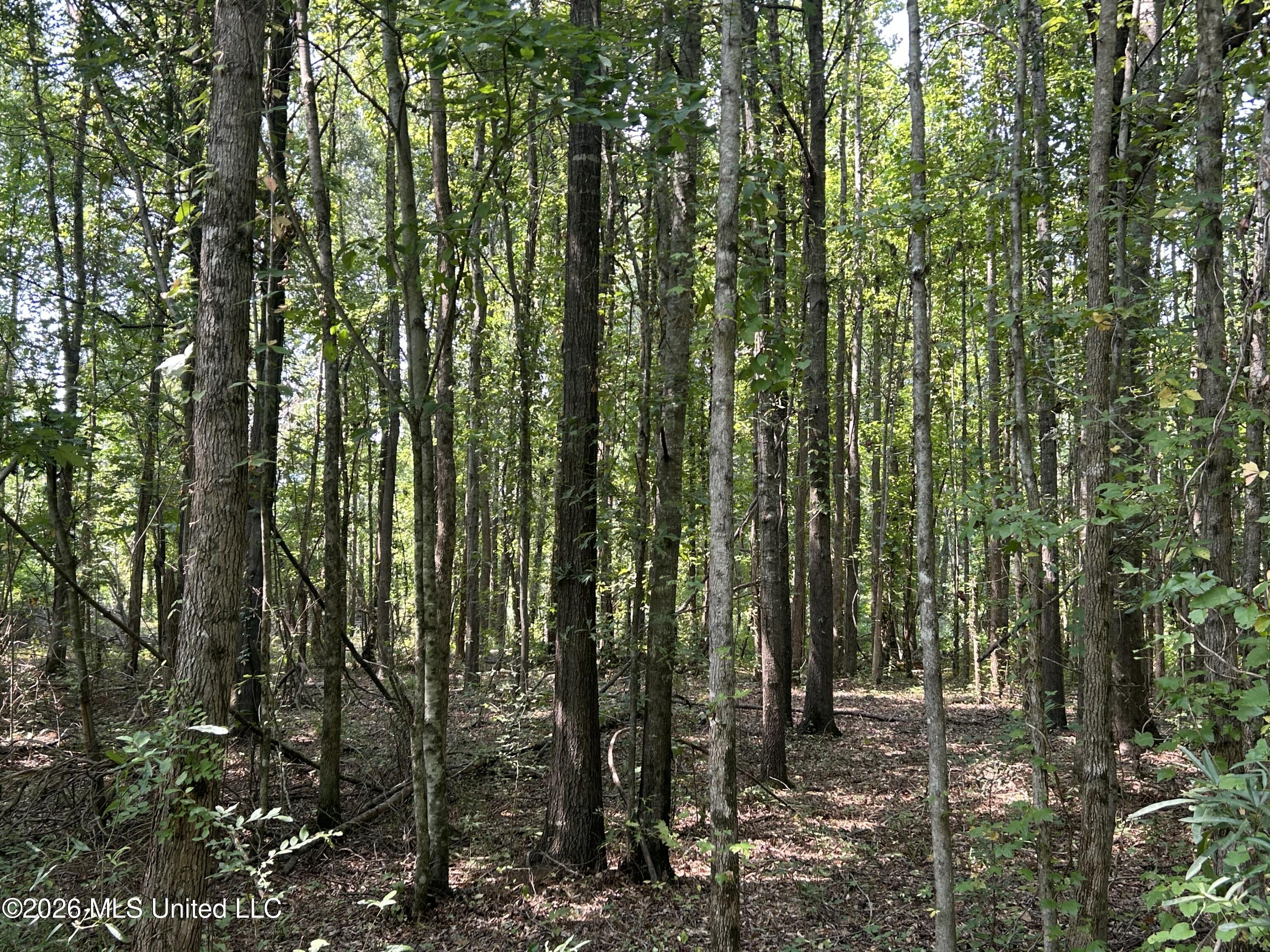 Leflore County Property Photo 6