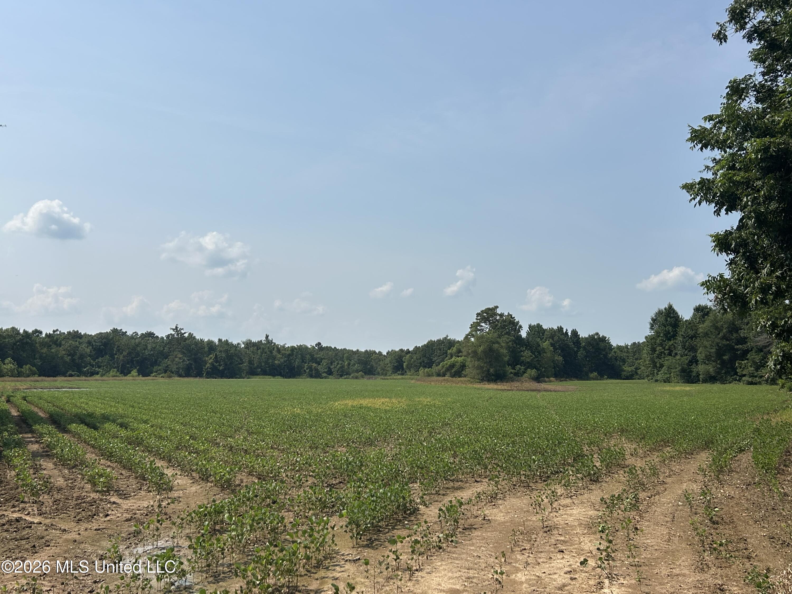 Leflore County Property Photo 11