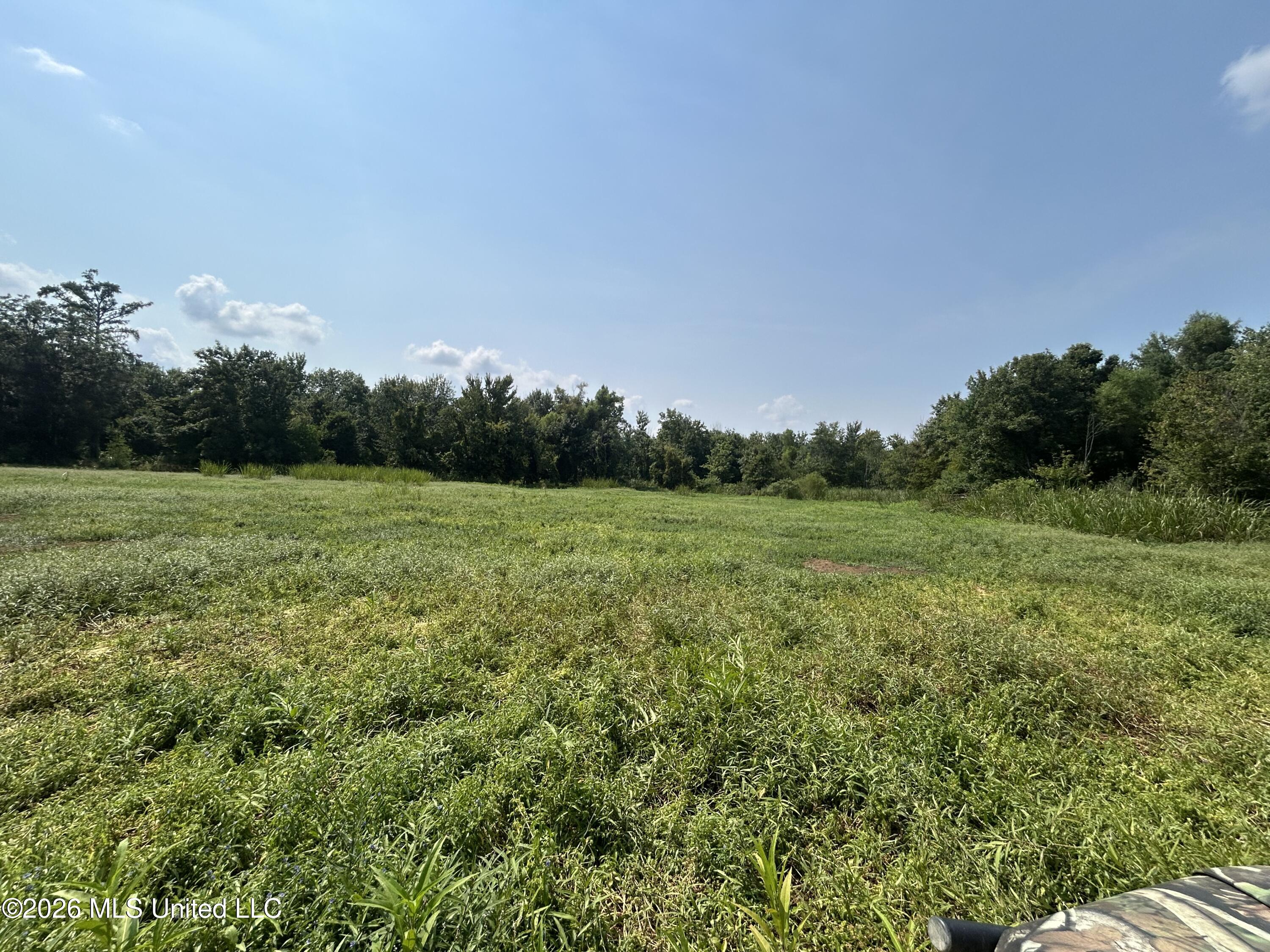 Leflore County Property Photo 17