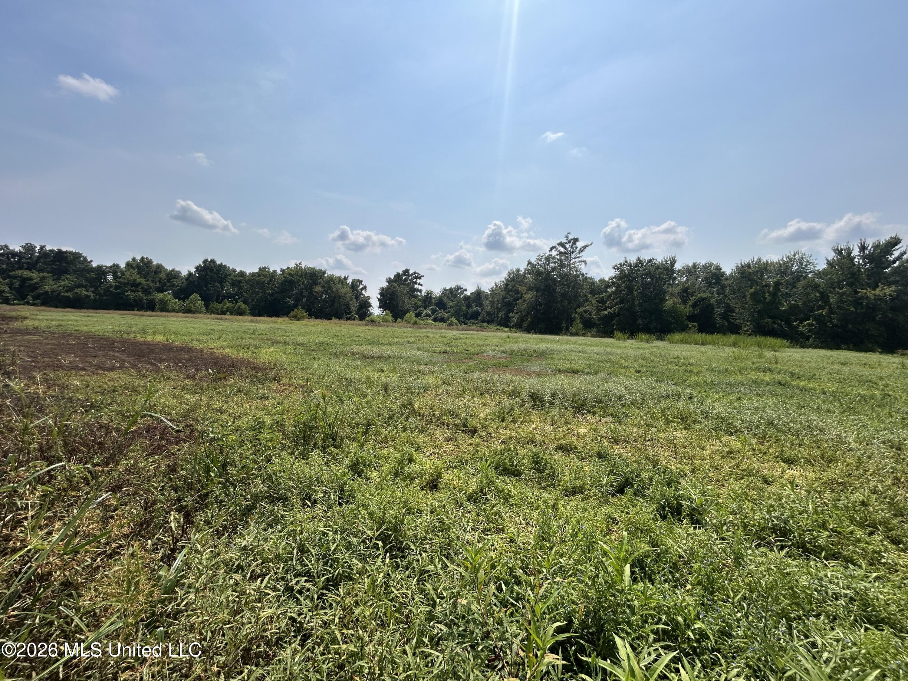 Leflore County Property Photo 18