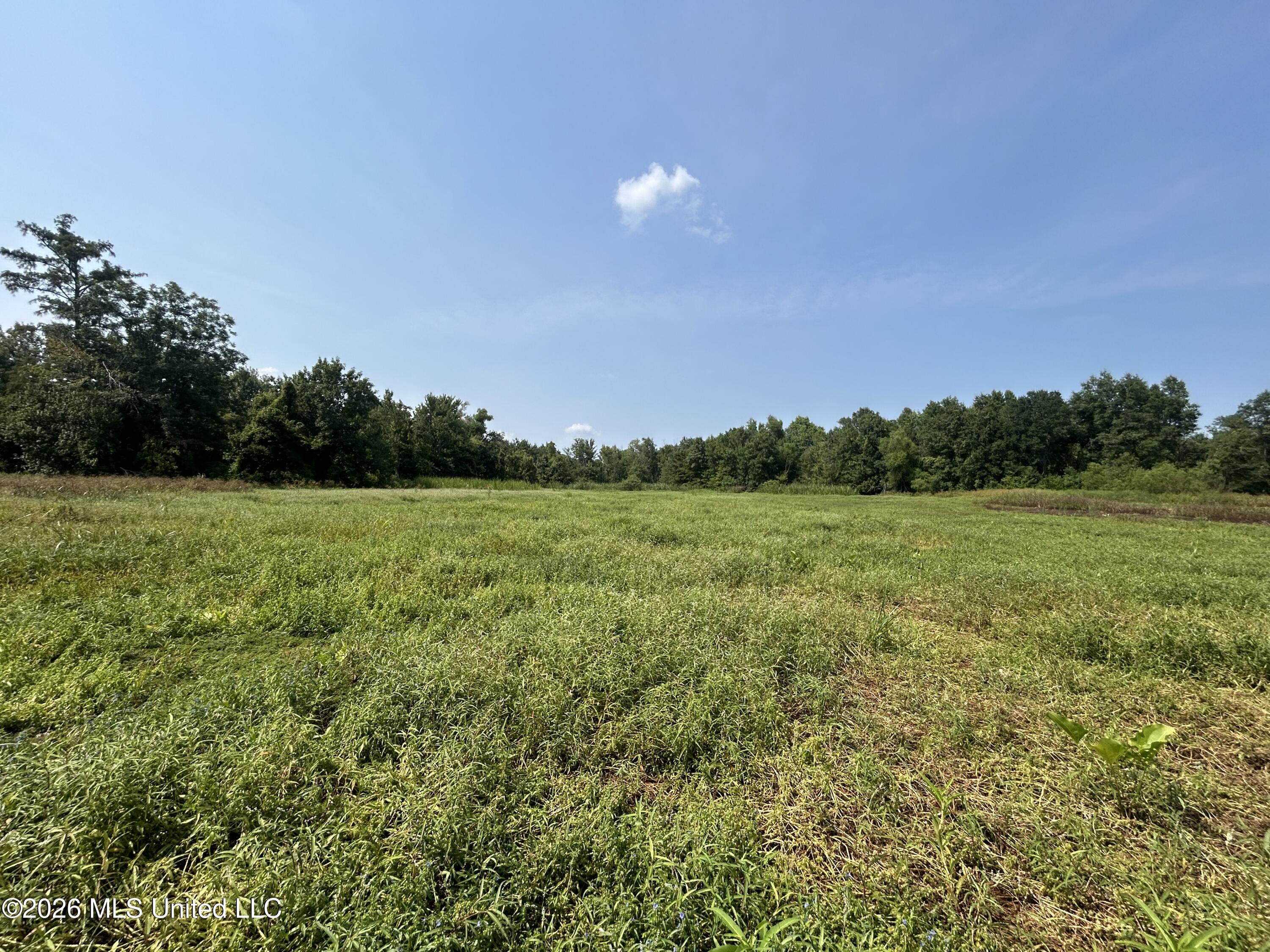 Leflore County Property Photo 19