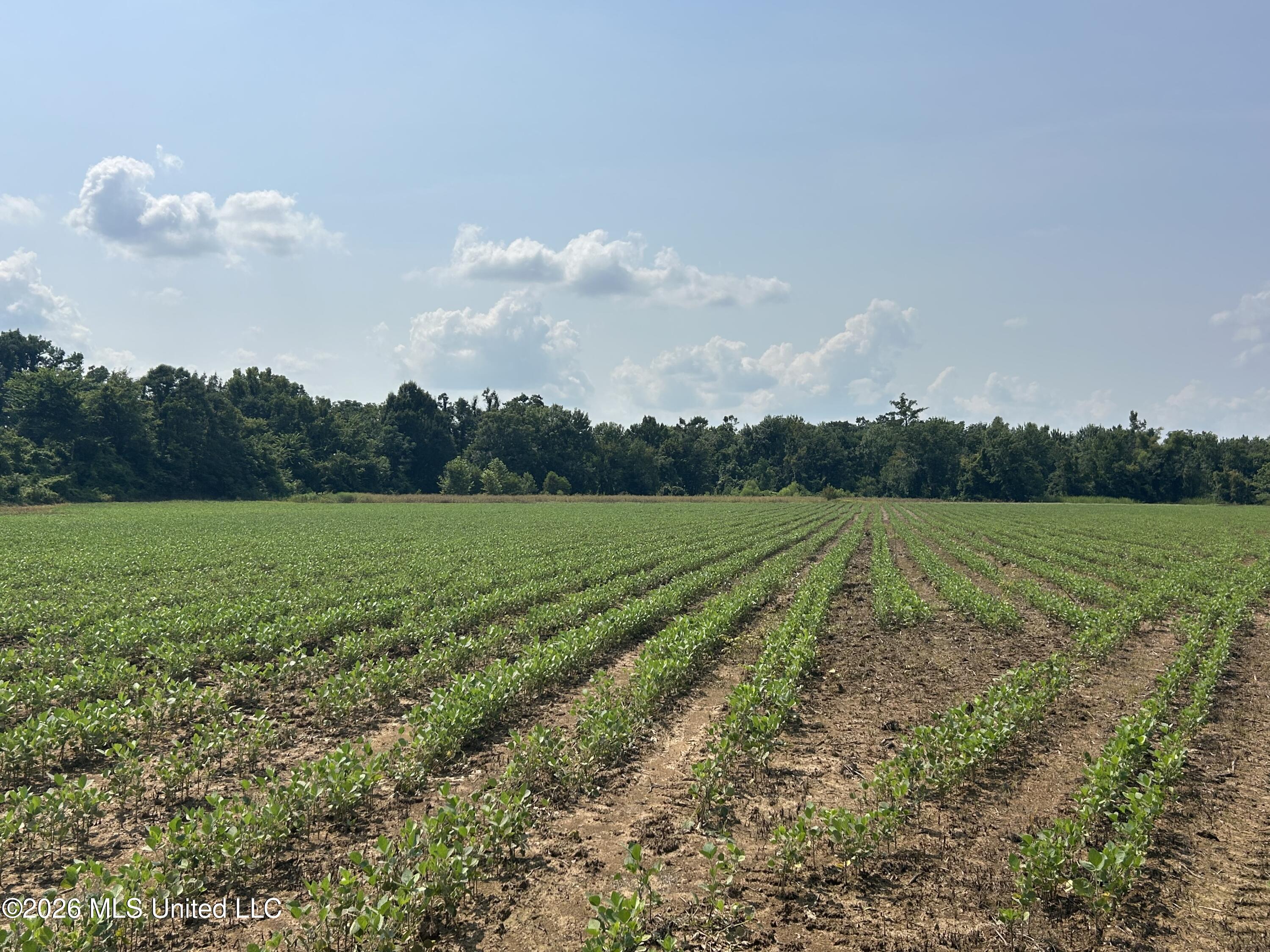 Leflore County Property Photo 20