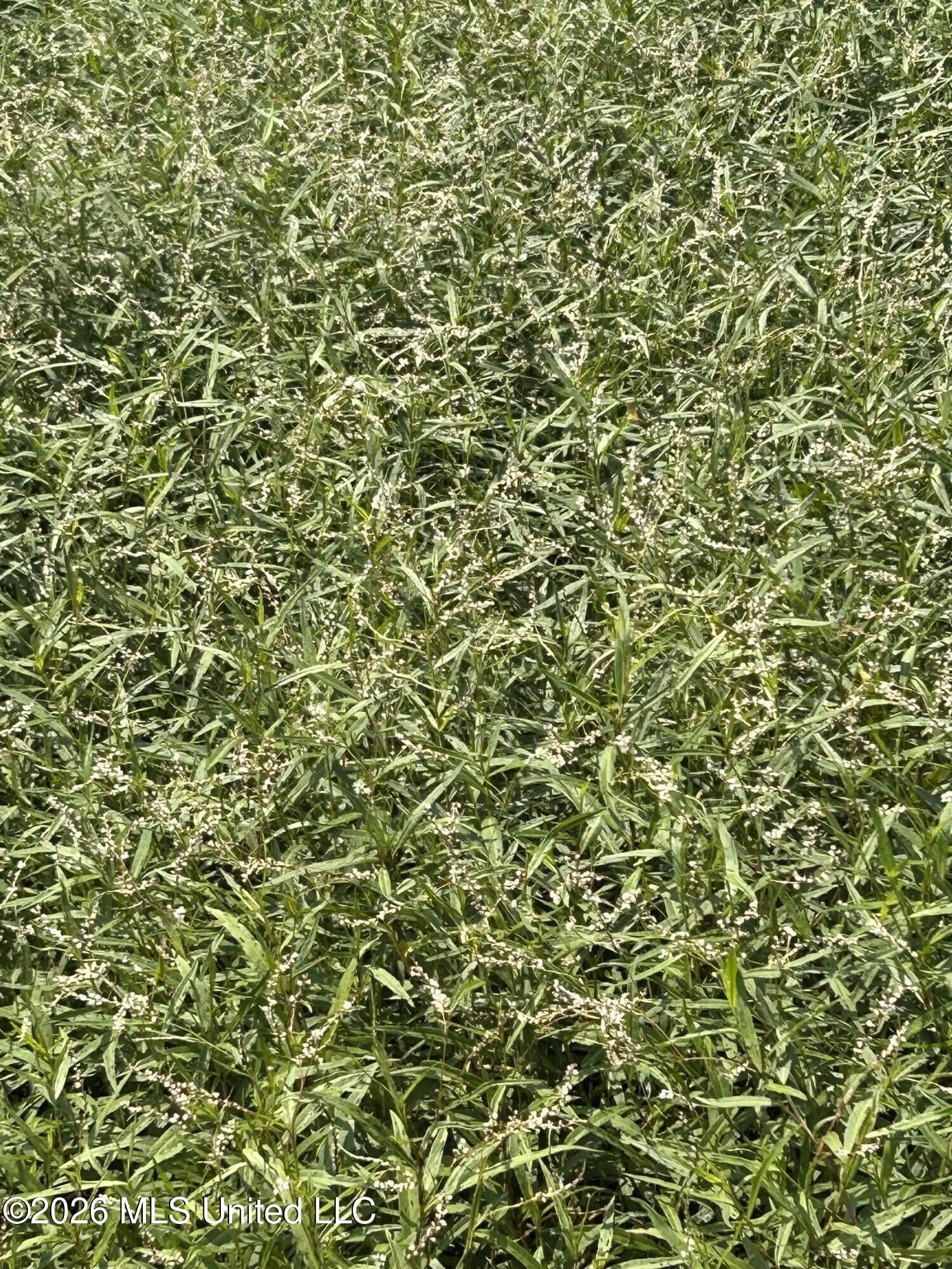 Leflore County Property Photo 21