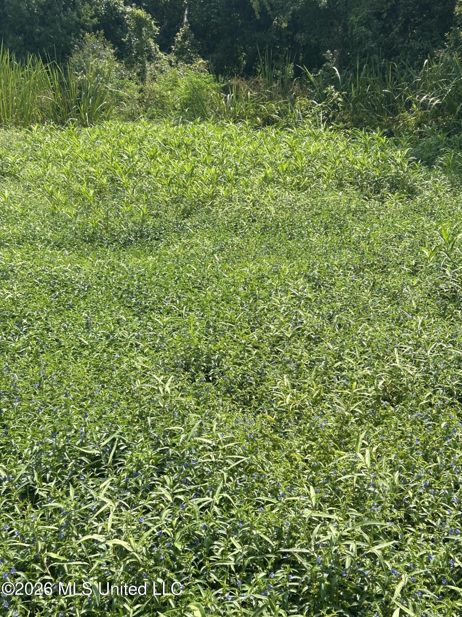 Leflore County Property Photo 22