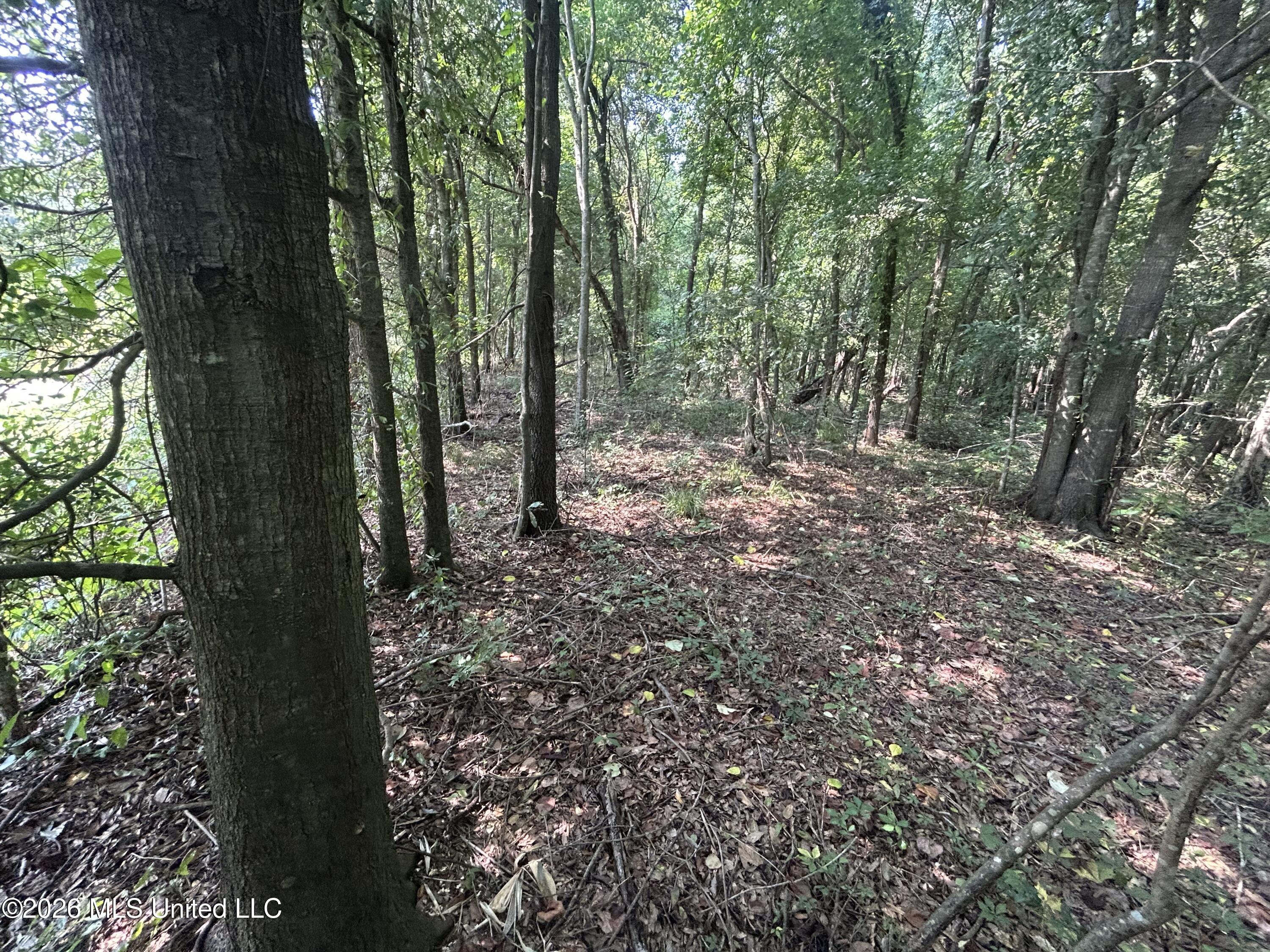 Leflore County Property Photo 27