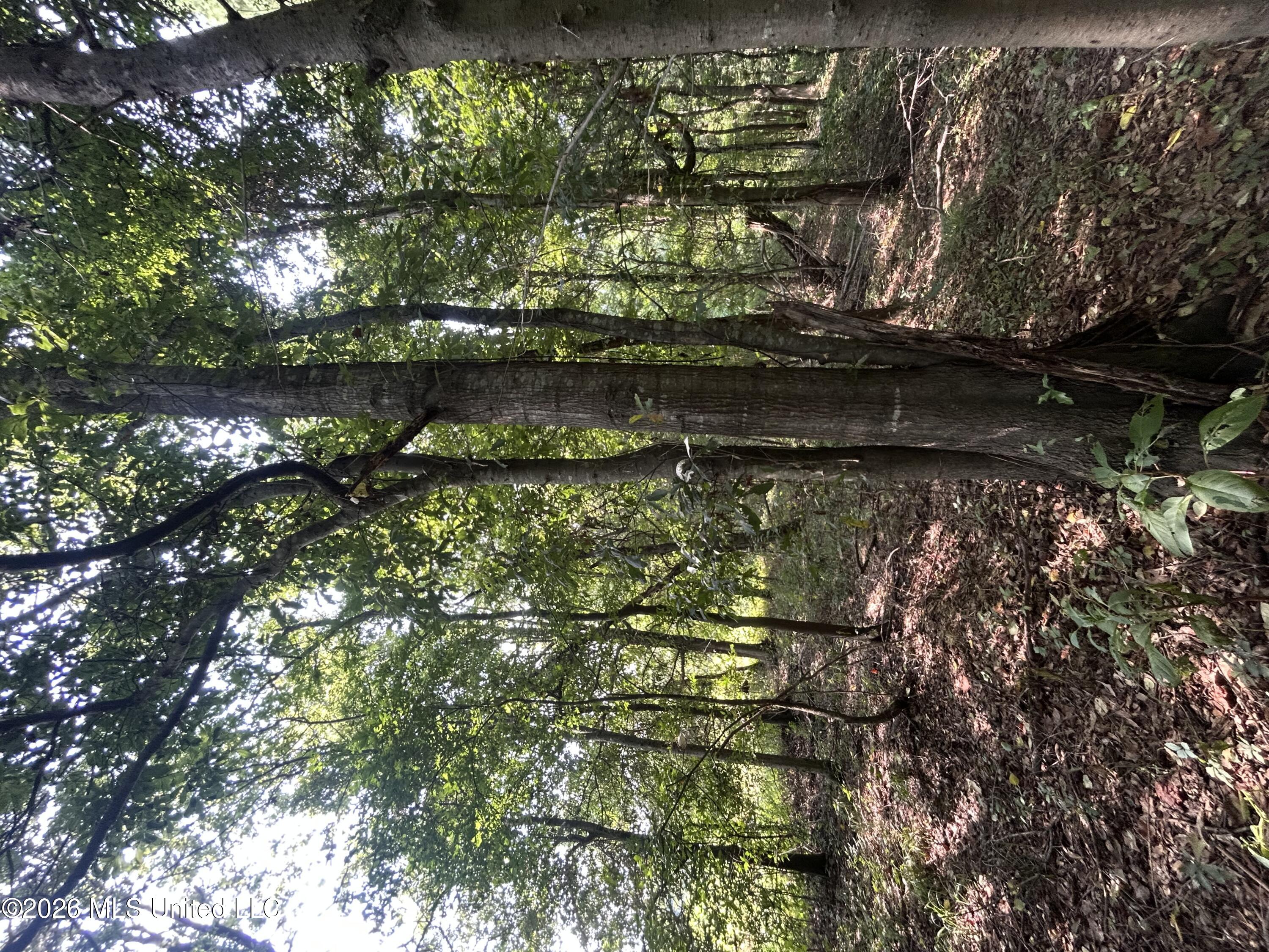 Leflore County Property Photo 28