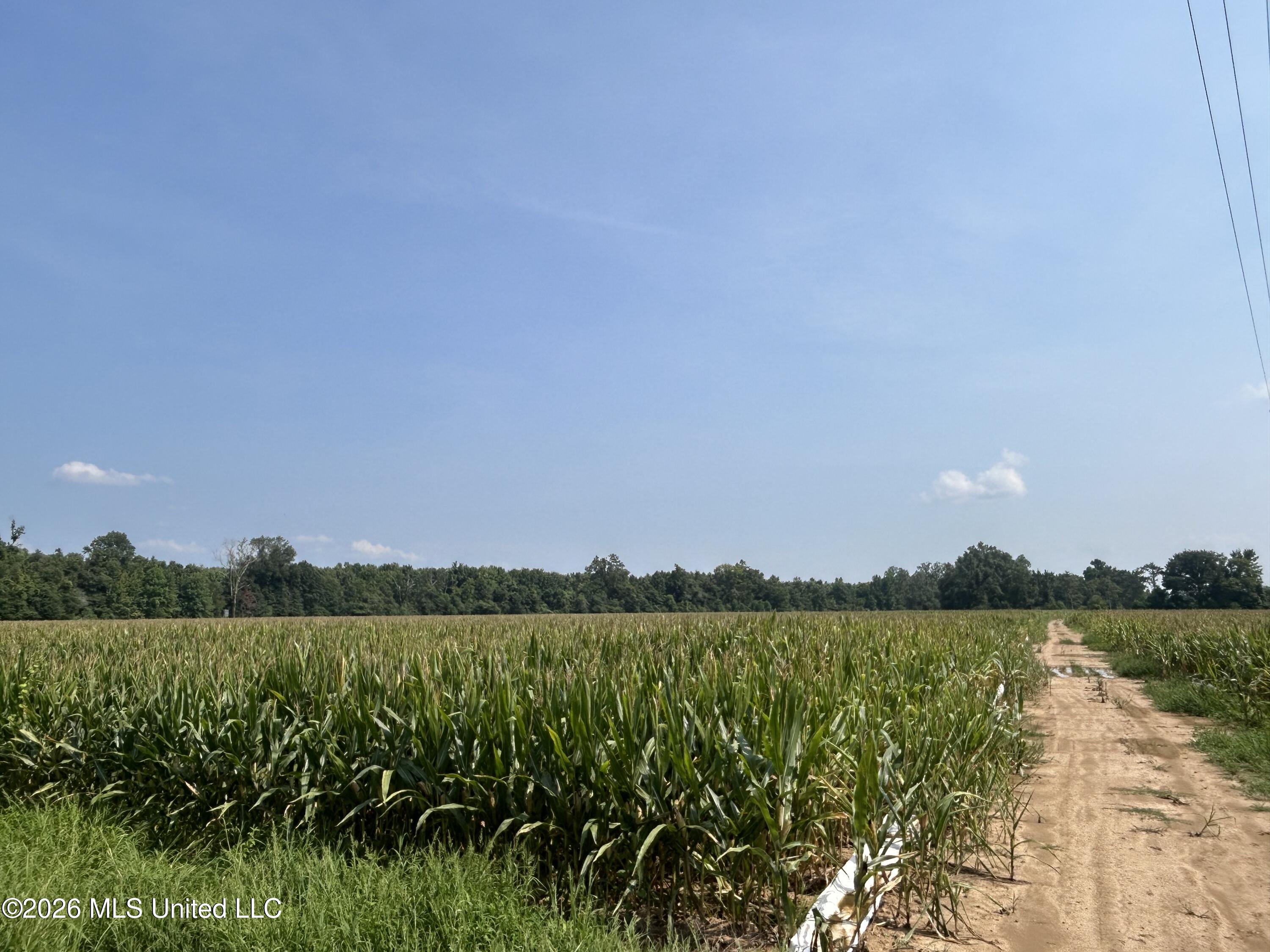 Leflore County Property Photo 29