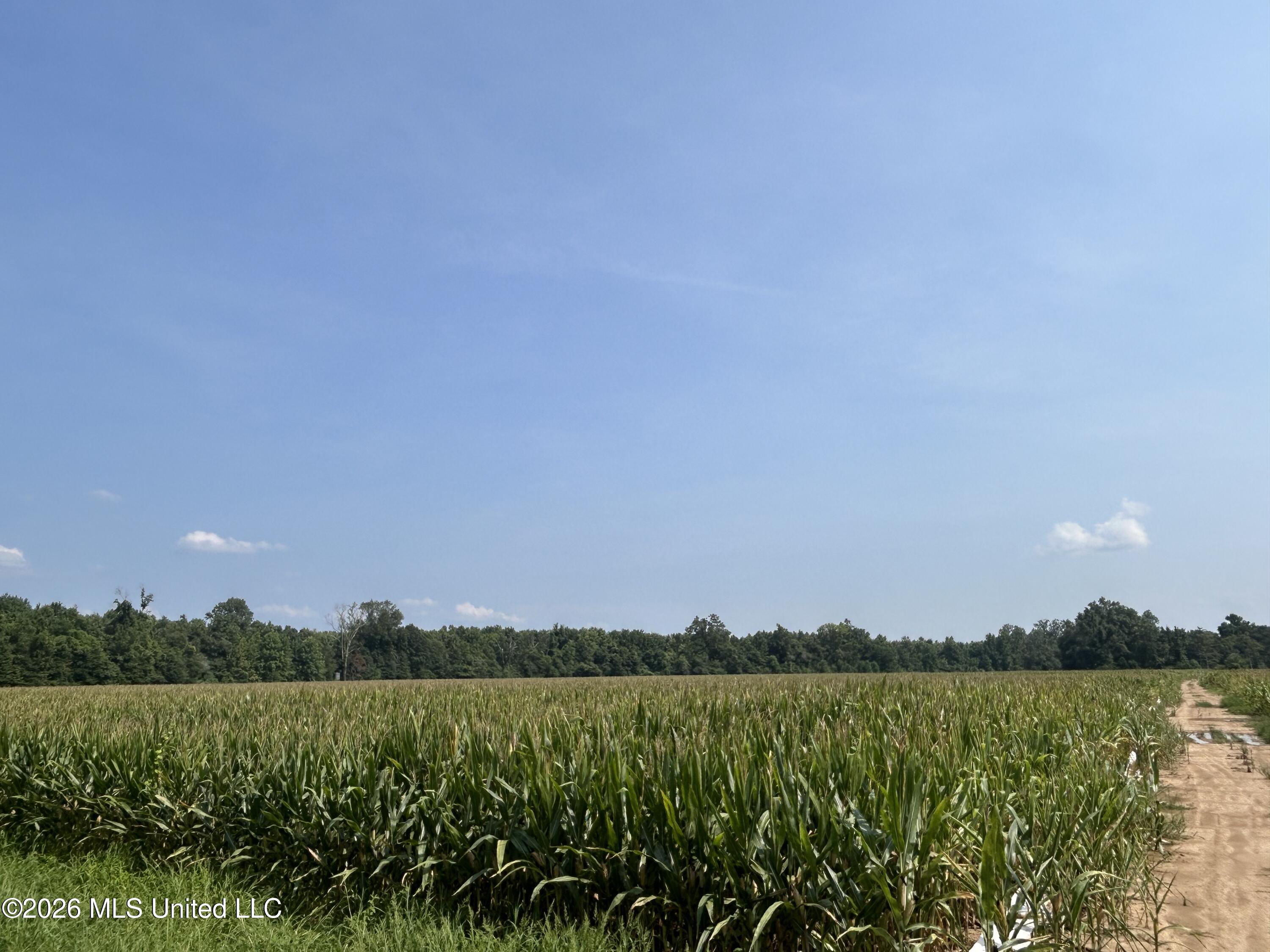 Leflore County Property Photo 30