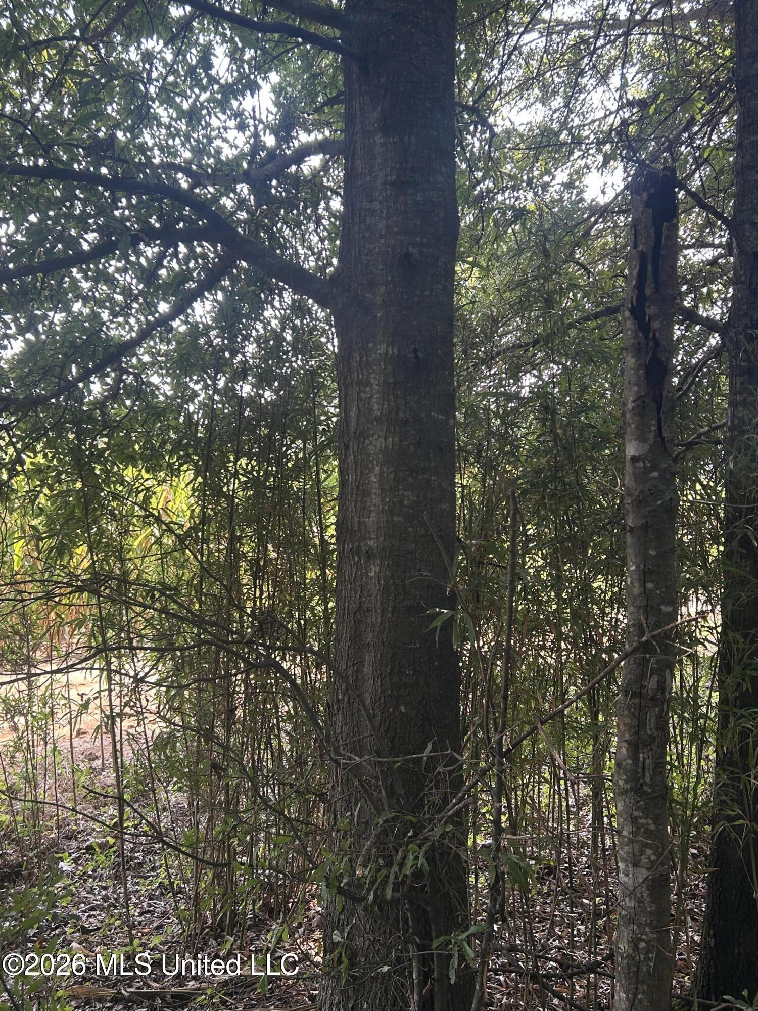Leflore County Property Photo 31