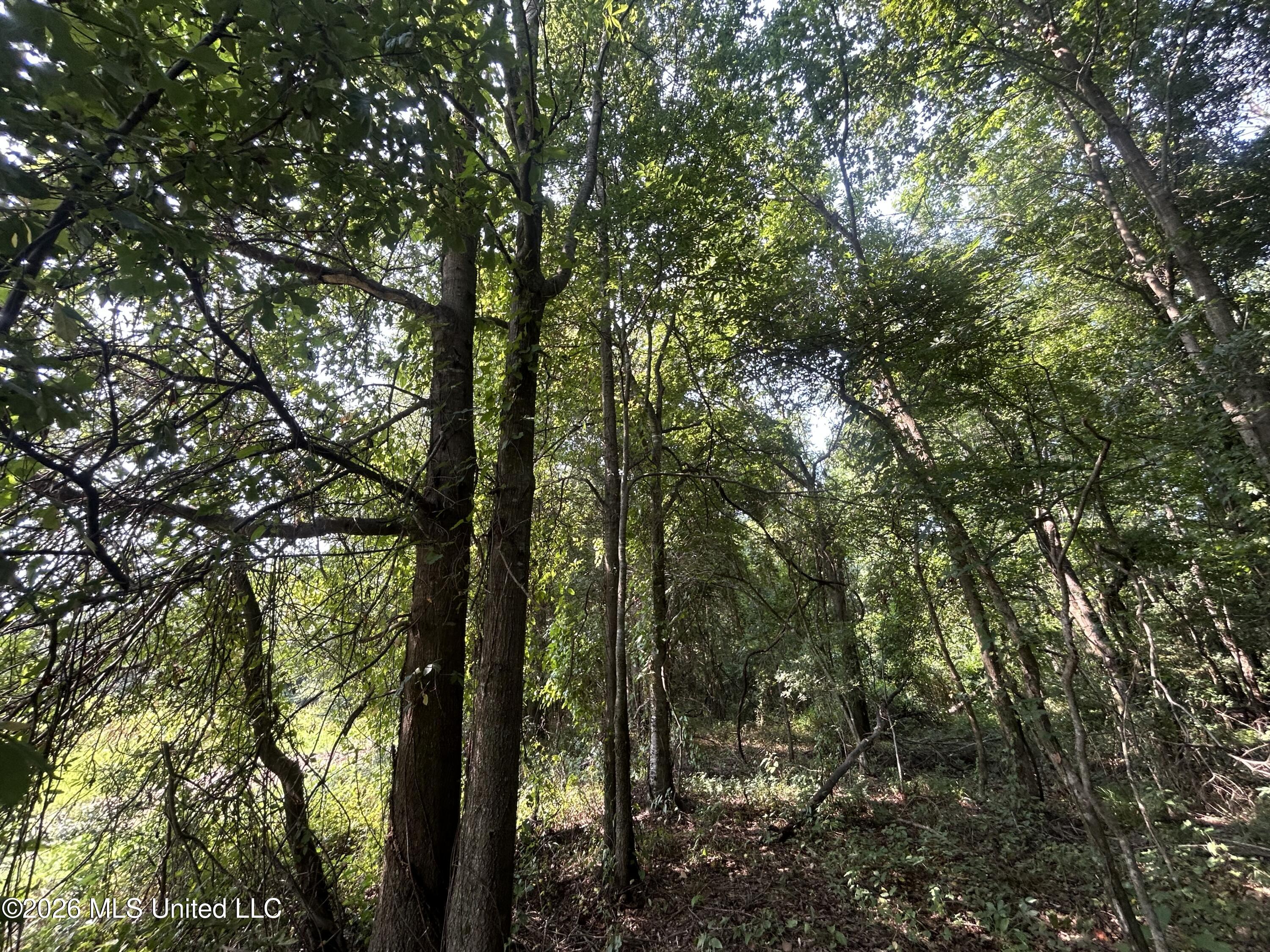 Leflore County Property Photo 32