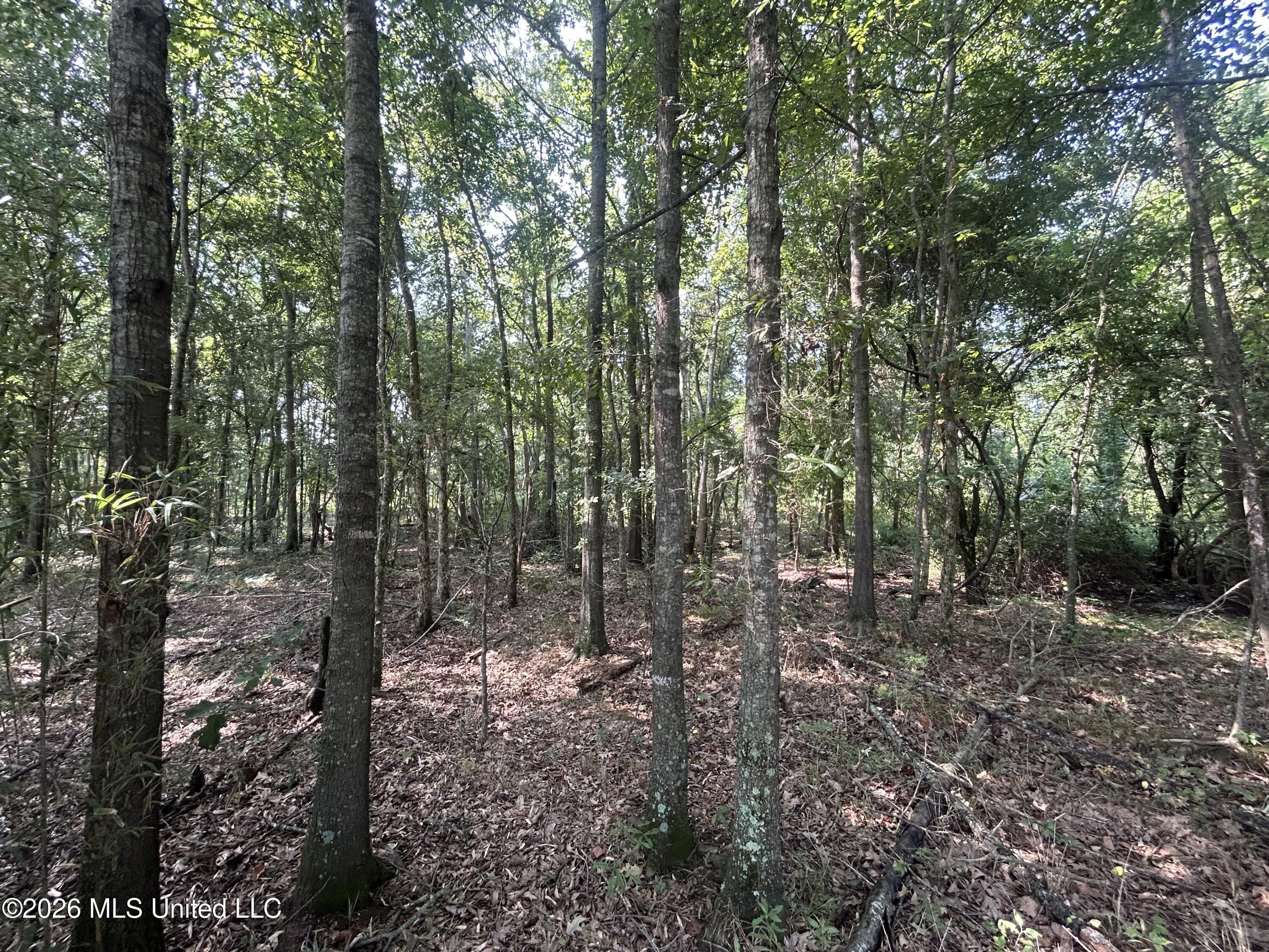Leflore County Property Photo 33