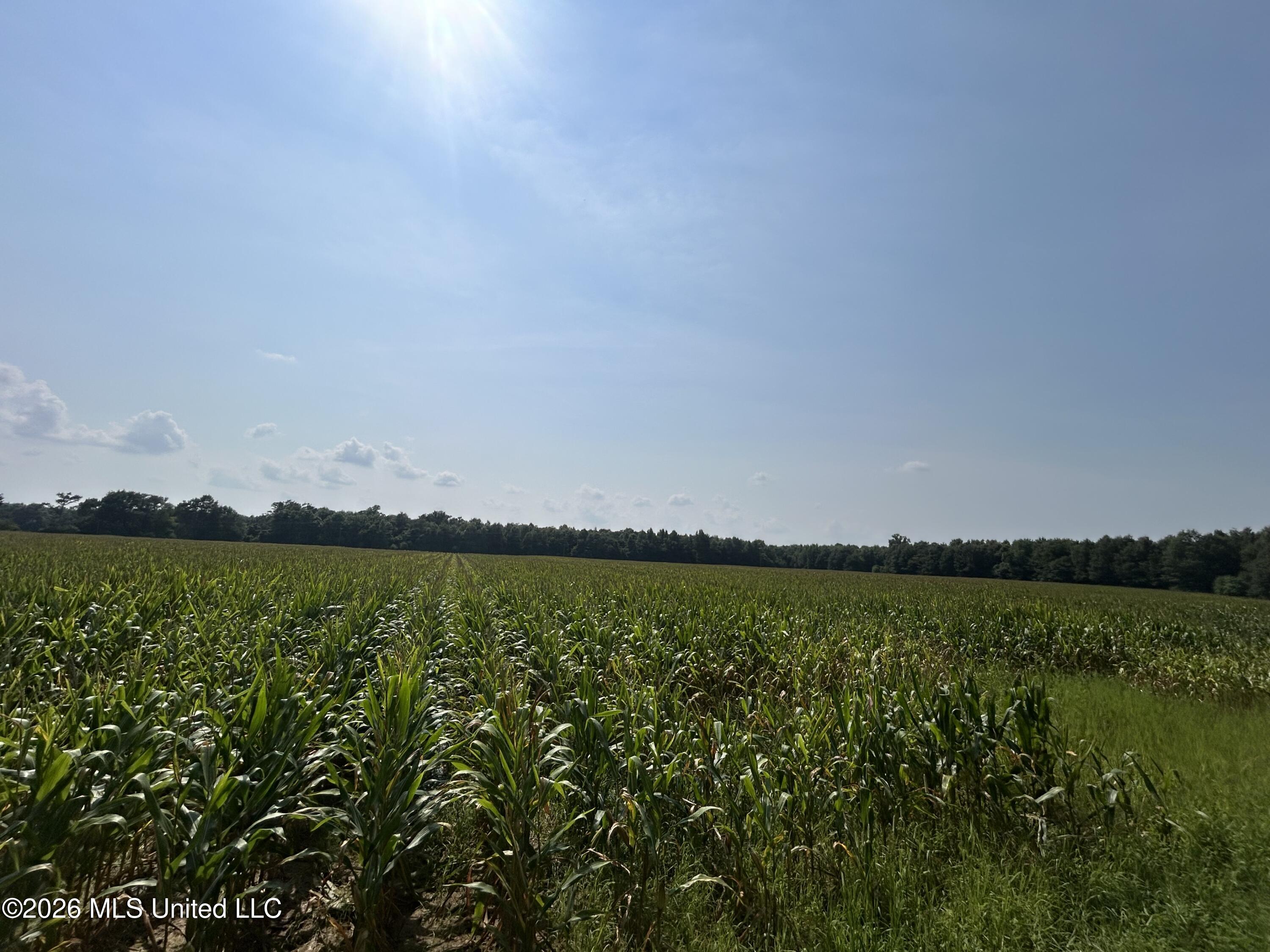 Leflore County Property Photo 34