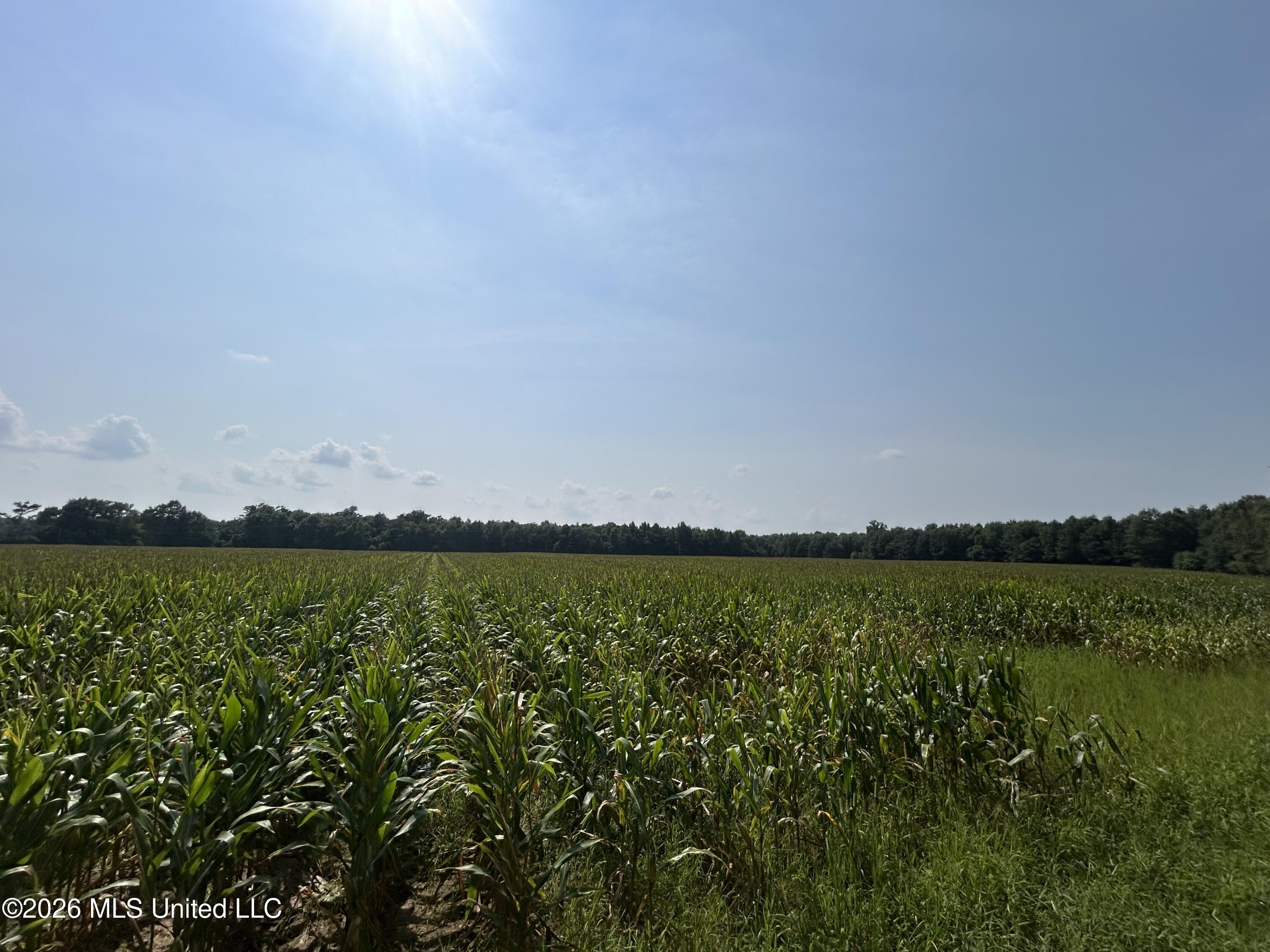 Leflore County Property Photo 35