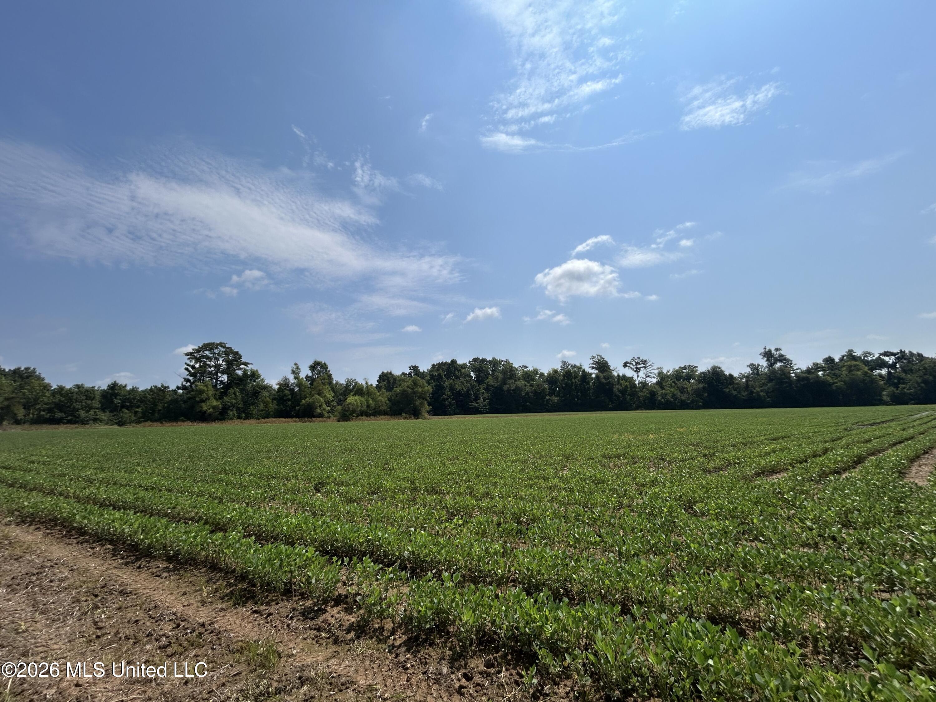 Leflore County Property Photo 38