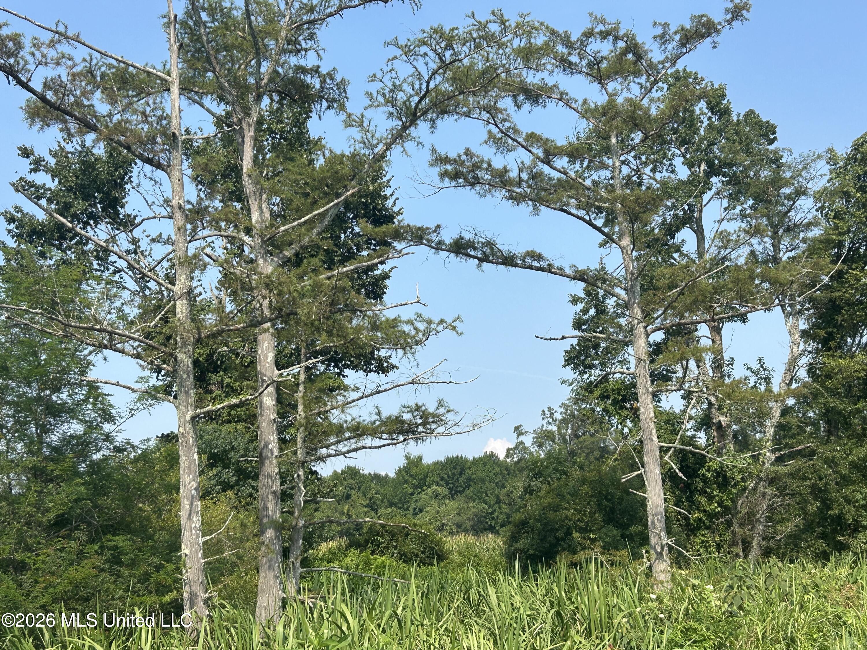 Leflore County Property Photo 40