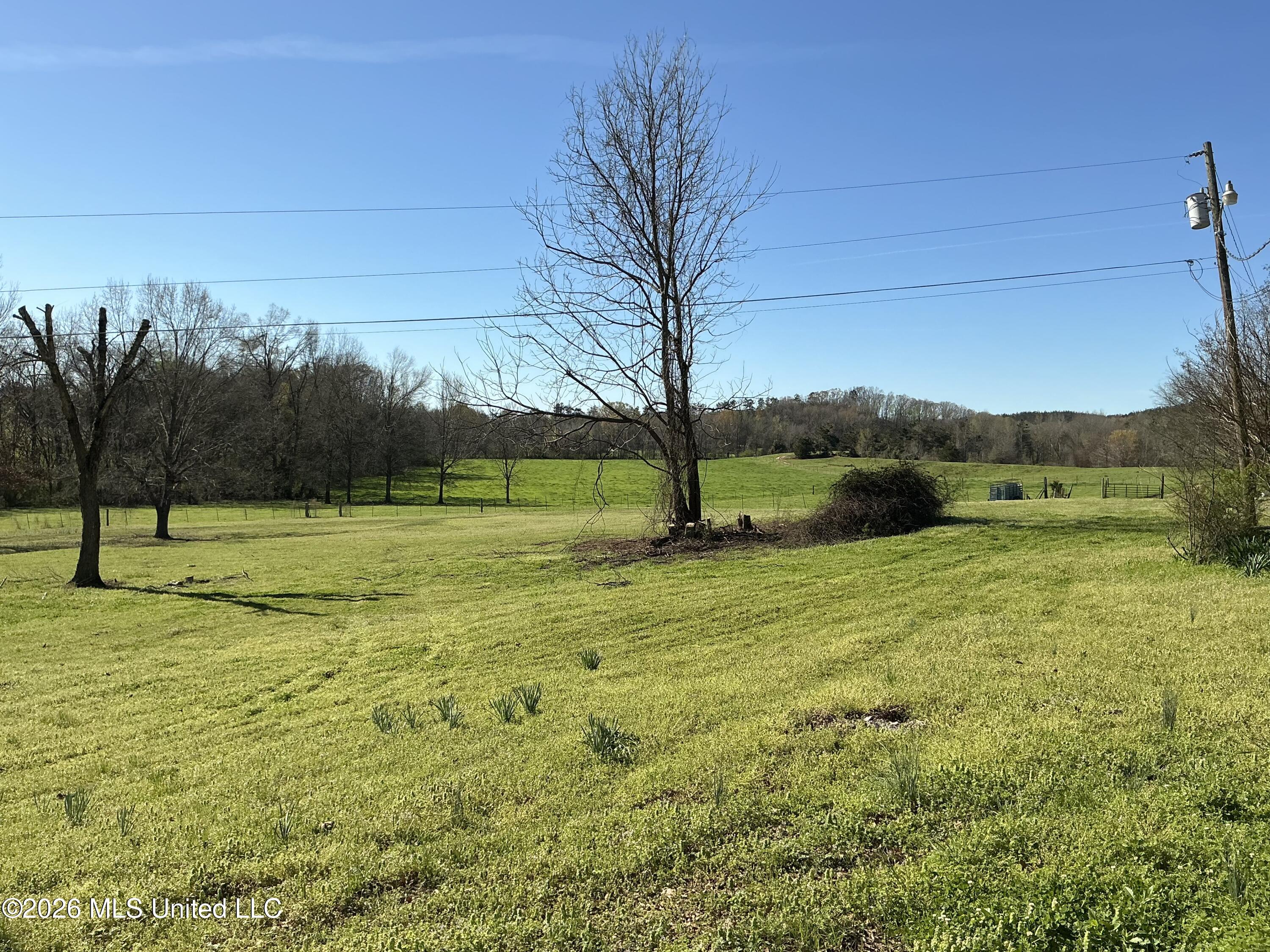 401 S Binford Avenue Property Photo 30