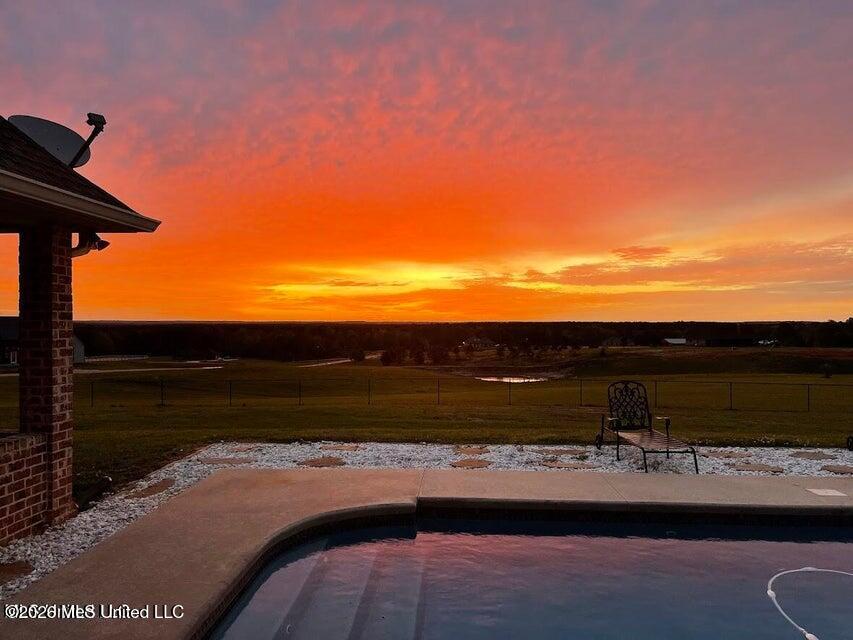 74 The Hills Drive Property Photo 61