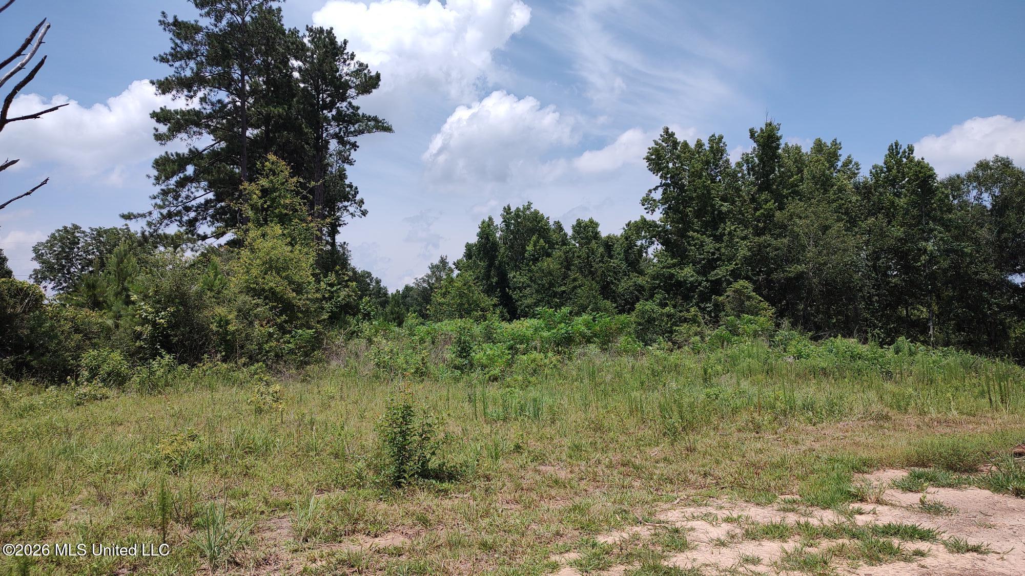 1090 Bilbo Road Property Photo 10