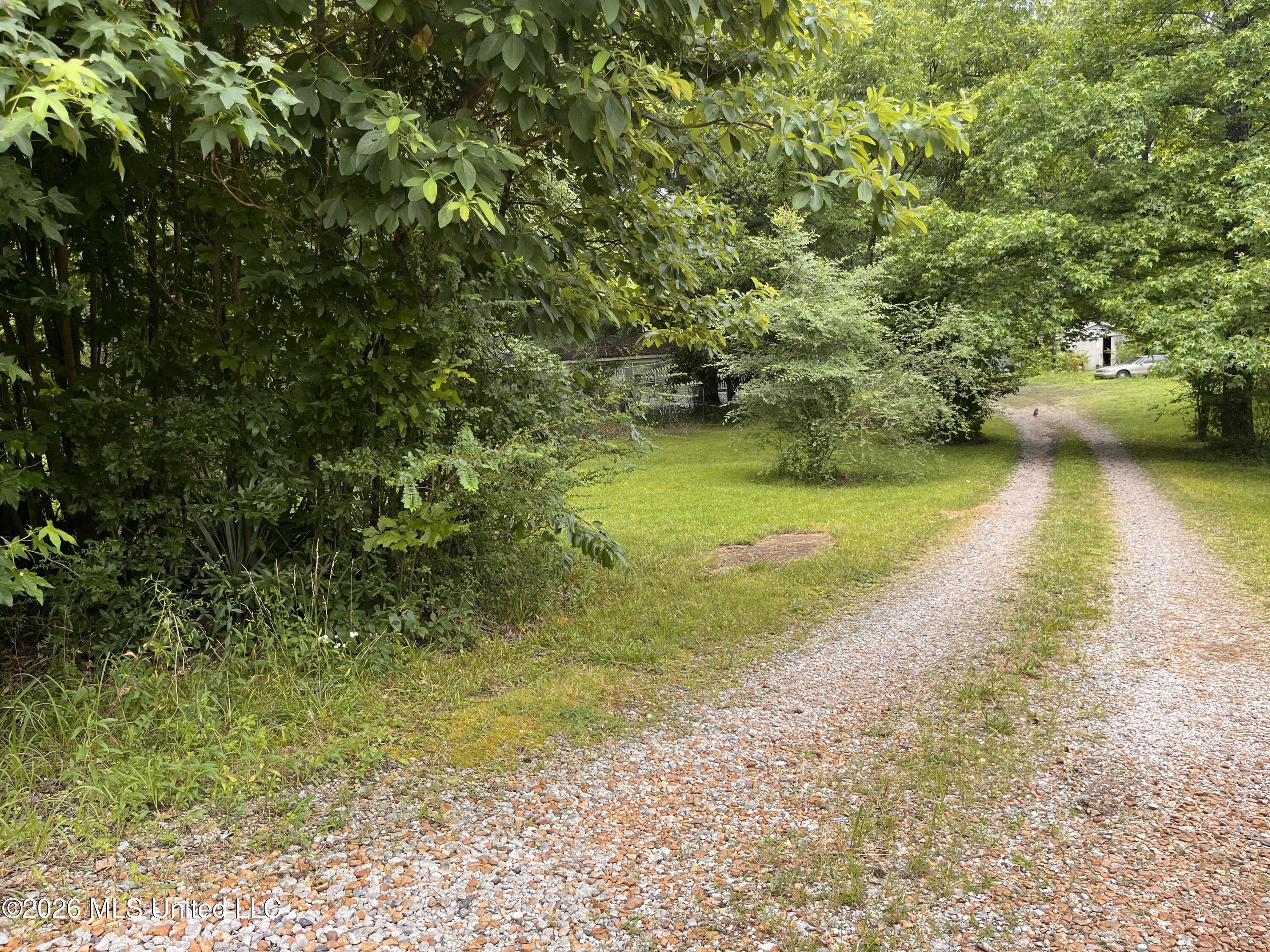 53 Lenzi Road Property Photo 1