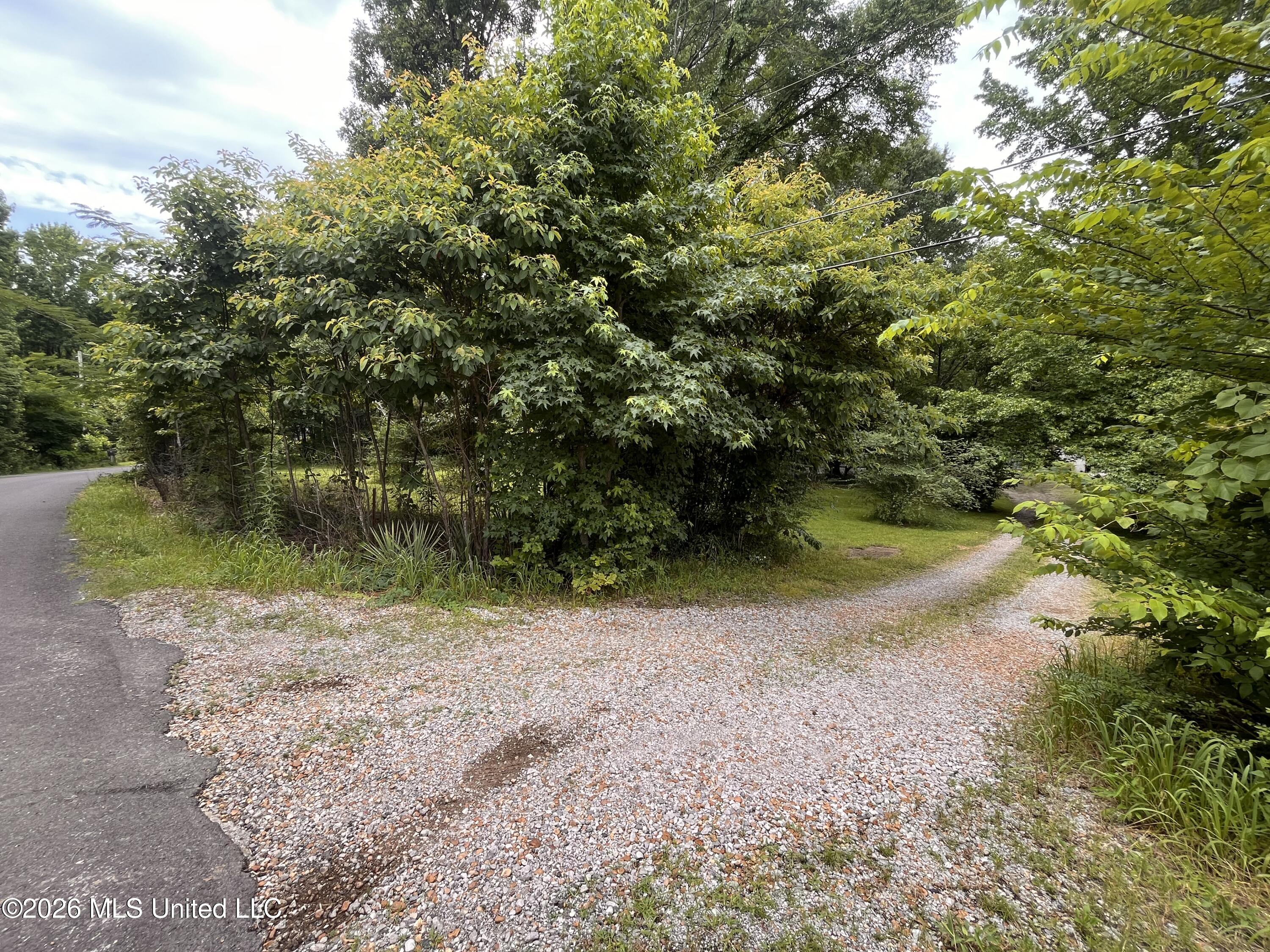 53 Lenzi Road Property Photo 2