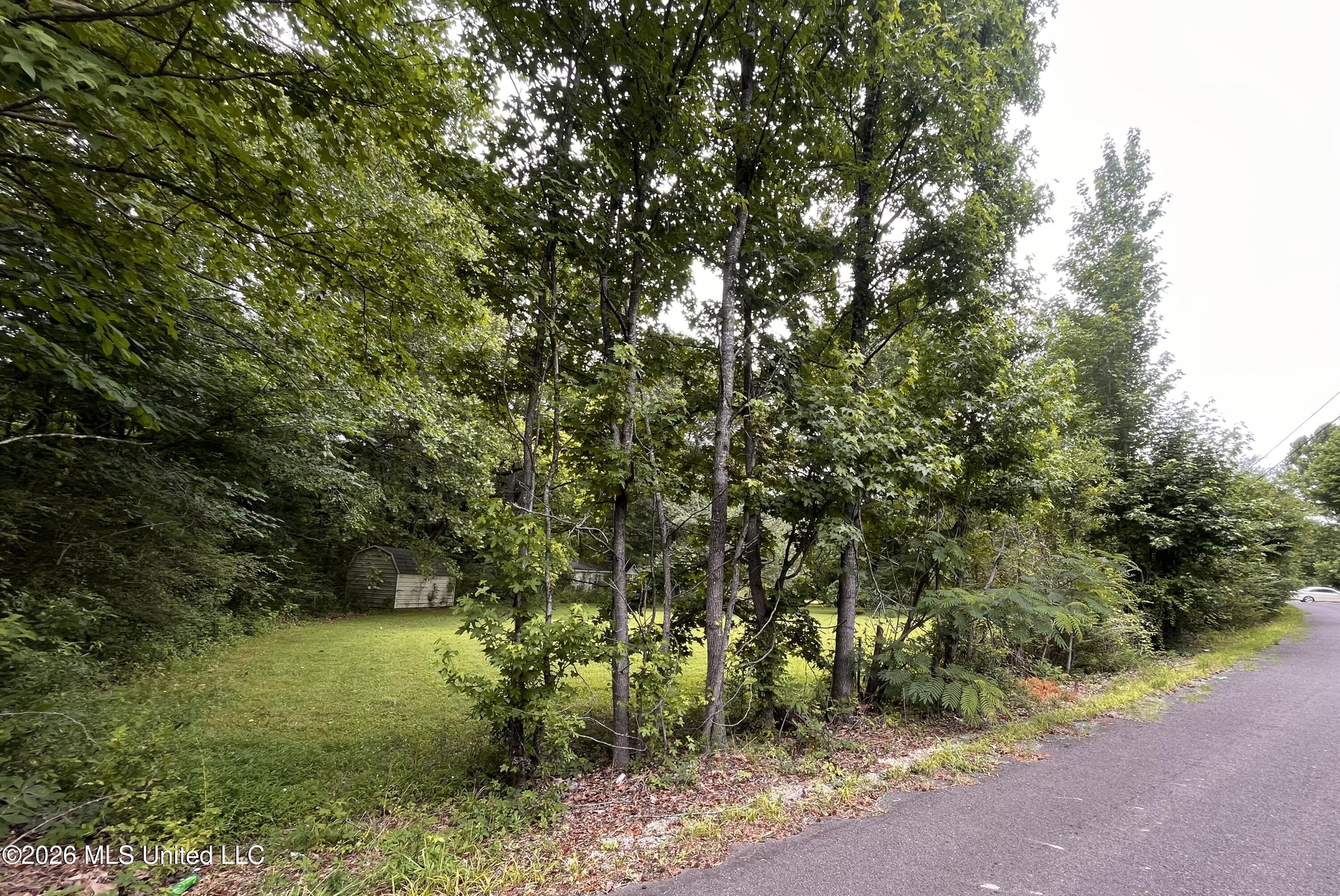 53 Lenzi Road Property Photo 3