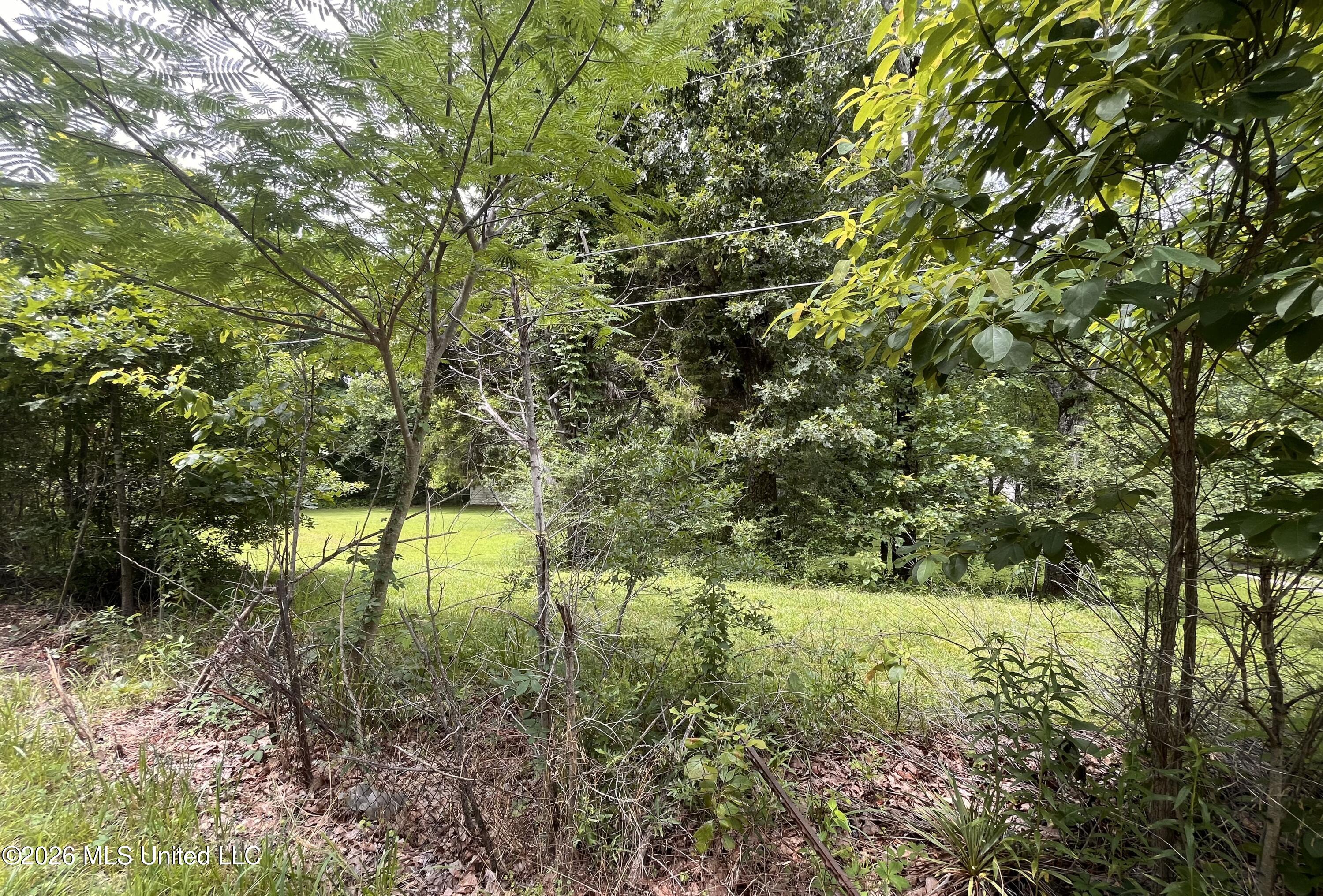 53 Lenzi Road Property Photo 4