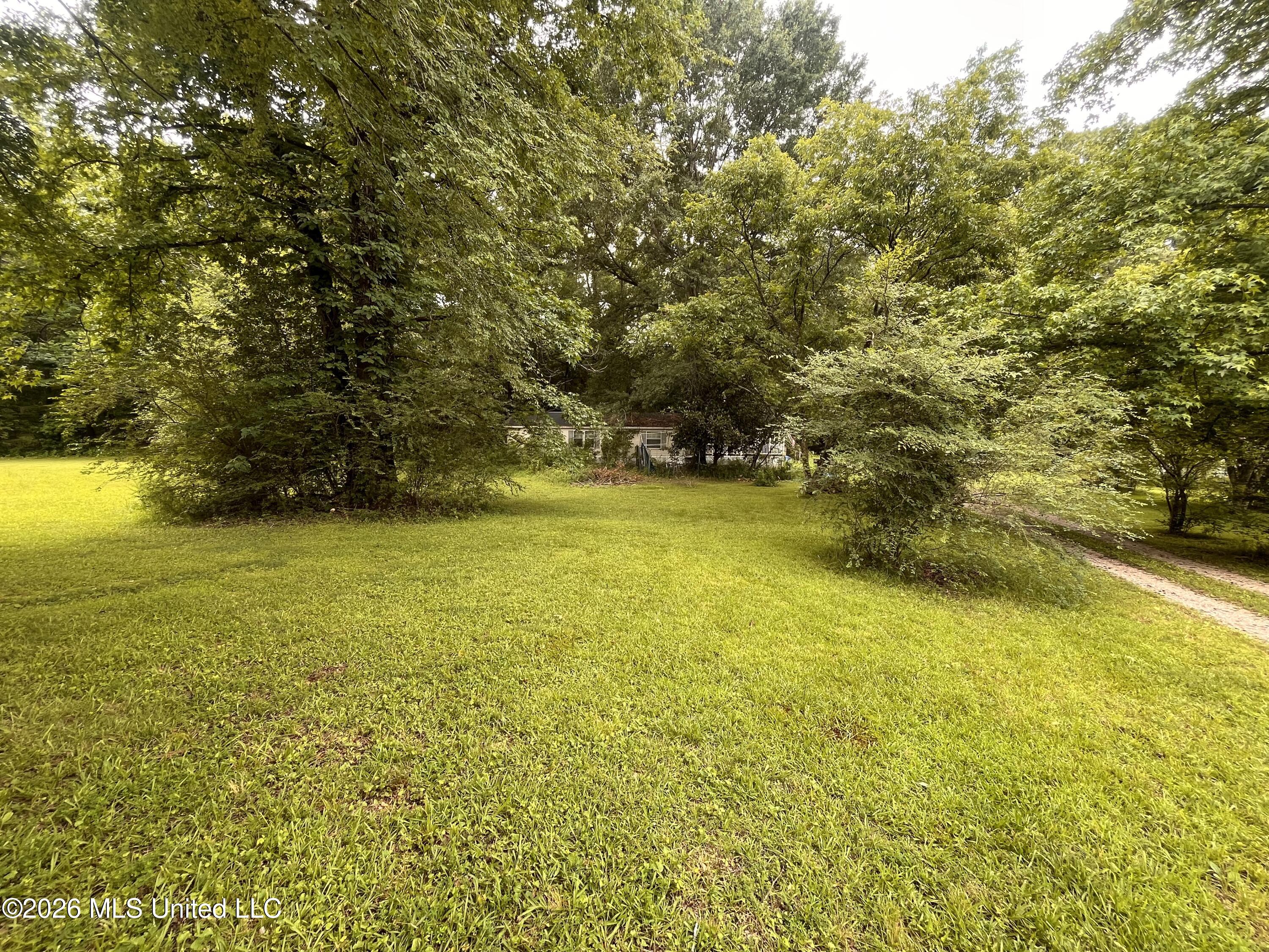 53 Lenzi Road Property Photo 5