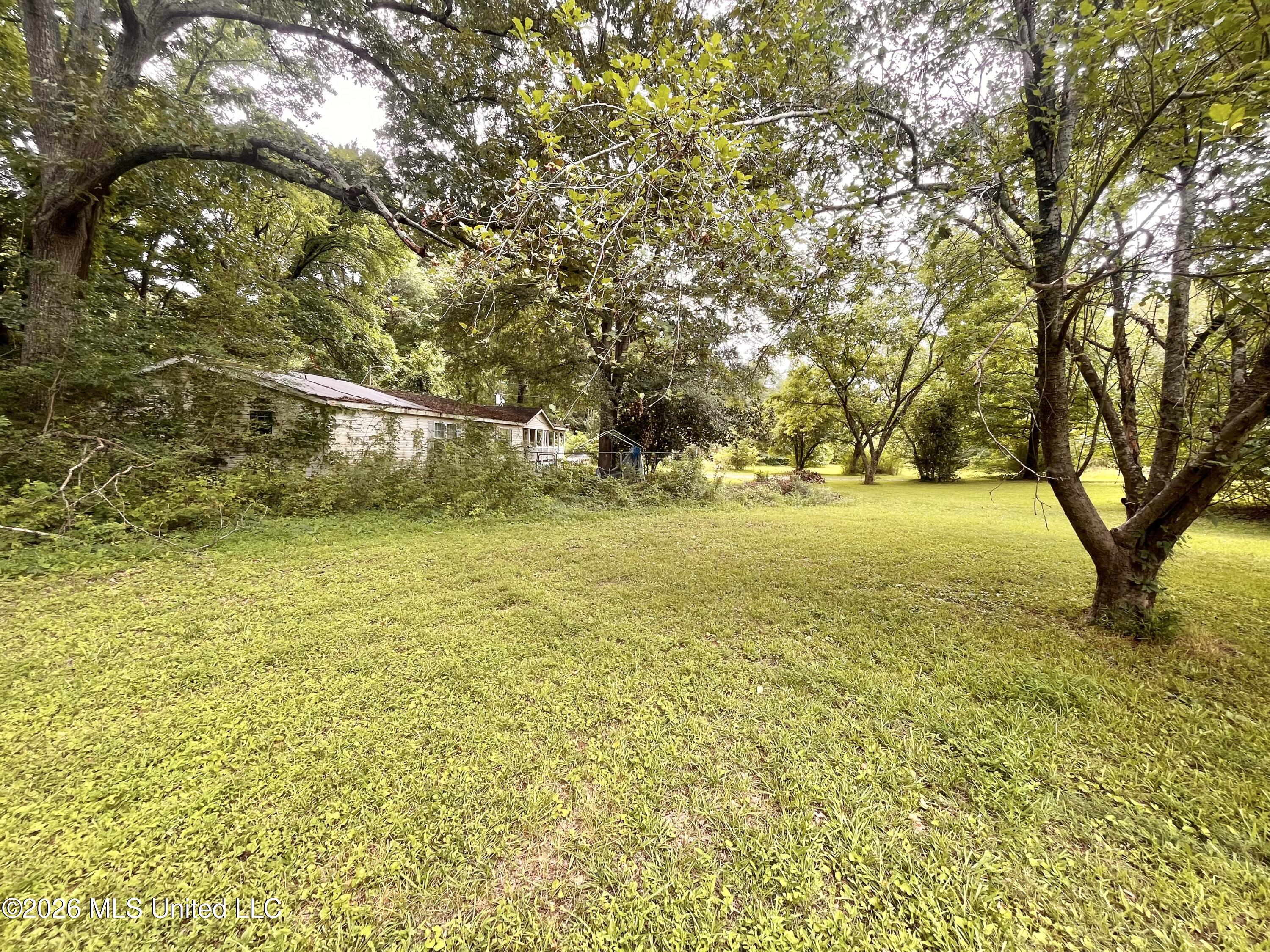 53 Lenzi Road Property Photo 8