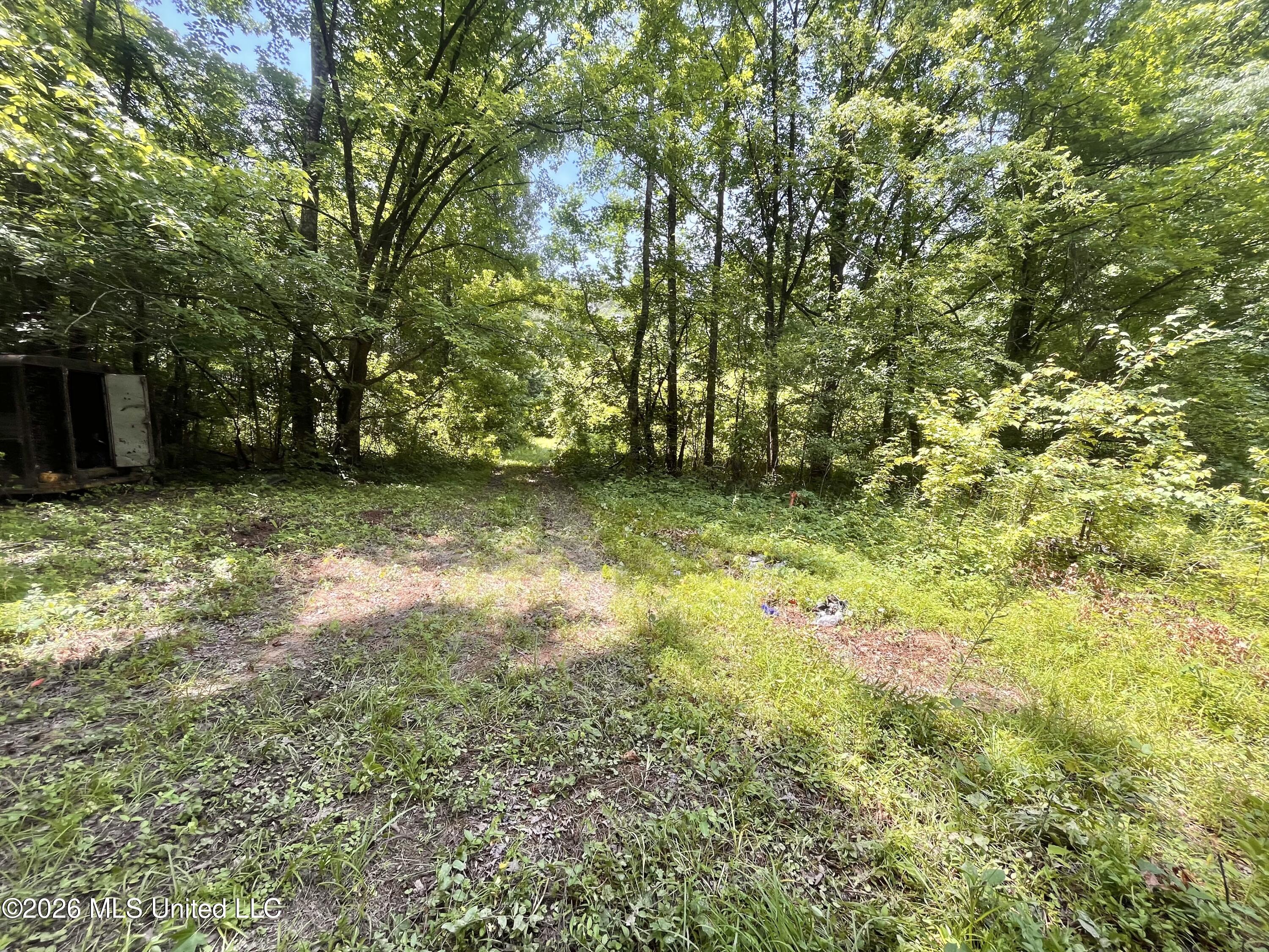 53 Lenzi Road Property Photo 12
