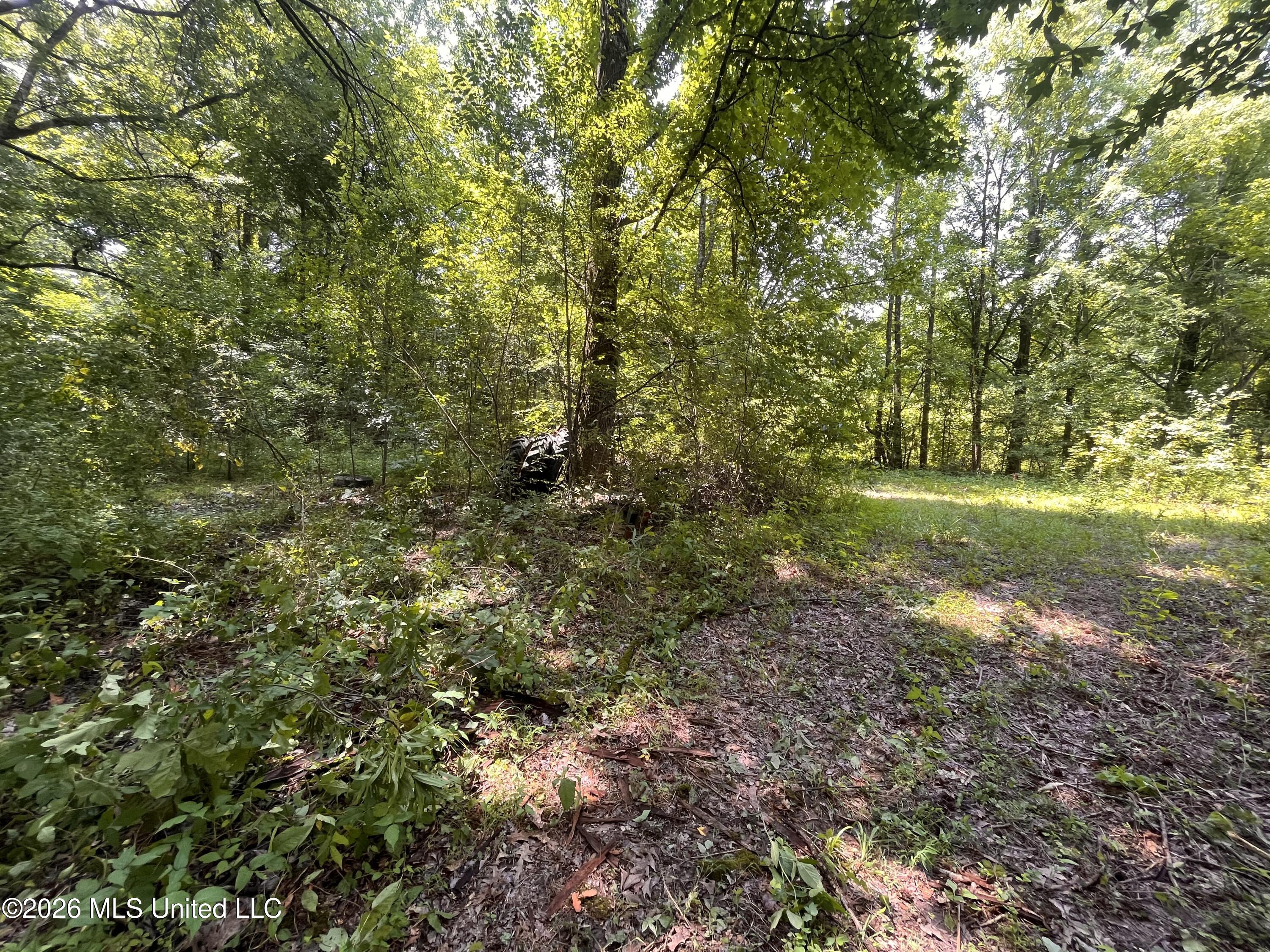 53 Lenzi Road Property Photo 13